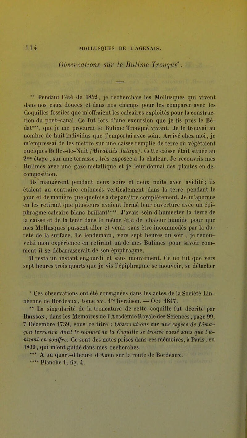 Observations sur le Bulime Troiujué'. ** Pendant l'été de 1842, je recherchais les Mollusques qui vivent dans nos eaux douces et dans nos champs pour les comparer avec les Coquilles fossiles que m'offraient les calcaires exploités pour la construc- tion du pont-canal. Ce fut lors d'une excursion que je fis près le Bc- dat***, que je me procurai le Bulime Tronqué vivant. Je le trouvai au nombre de huit individus que j'emportai avec soin. Arrivé chez moi, je m'empressai de les mettre sur une caisse remplie de terre où végétaient quelques Bellcs-de-Nuit (Mirabilis Jalapa). Cette caisse était située au î étage , sur une terrasse, très exposée à la chaleur. Je recouvris mes Bulimes avec une gaze métallique et je leur donnai des plantes en dé- composition. Ils mangèrent pendant deux soirs et deux nuits avec avidité; ils étaient au contraire enfoncés verticalement dans la terre pendant le jour et de manière quelquefois à disparaître complètement. Je m'aperçus en les retirant que plusieurs avaient fermé leur ouverture avec un épi- phragme calcaire blanc brillant****. J'avais soin d'humecter la terre de la caisse et de la tenir dans le même état de chaleur humide pour que mes Mollusques pussent aller et venir sans être incommodés par la du- reté de la surface. Le lendemain, vers sept heures du soir , je renou- velai mon expérience en retirant un de mes Bulimes pour savoir com- ment il se débarrasserait de son épiphragme. Il resta un instant engourdi et sans mouvement. Ce ne fut que vers sept heures trois quarts que je vis l'épiphragme se mouvoir, se détacher * Ces observations ont été consignées dans les actes de la Société Lin- néenne de Bordeaux, tome xv, 1 livraison. — Oct 1847. ** La singularité de la troncature de cette coquille fut décrite par Brisson , dans les Mémoires de l'Académie Royale des Sciences, page 99, 7 Décembre 1759, sous ce titre : Observations sur une espèce de Lima- çon terrestre dont le sommet de la Coquille se trotive cassé sans que l'a- nimal en souffre. Ce sont des notes prises dans ces mémoires, à Paris, en 1839, qui m'ont guidé dans mes recherches. *** A un quart-d'heure d'Agcn sur la route de Bordeaux. **** Planche 1; fig. 4.