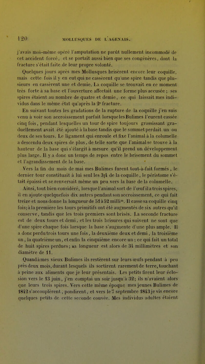 j'avais moi-même opéré l'amputation ne parût nullement incommode de cet accident forcé, et se portait aussi bien que ses congénères, dont la fracture s'était faite de leur propre volonté. Quelques jours après mes Mollusques brisèrent encore leur coquille, mais cette fois il y en eut qui ne cassèrent qu'une spire tandis que plu- sieurs en cassèrent une et demie. La coquille se trouvait en ce moment très forte à sa base et l'ouverture affectait une forme plus accusée ; ses spires étaient au nombre de quatre et demie, ce qui laissait mes indi- vidus dans le même état qu'après la 2° fracture. En suivant toutes les gradations de la rupture de la coquille j'en suis venu à voir son accroissement parfait lorsque lesBulimes l'eurent cassée cinq fois, pendant lesquelles un tour de spire toujours grossissant gra- duellement avait été ajouté à la base tandis que le sommet perdait un ou deux de ses tours. Le ligament qui enroule et fixe l'animal à la columelle a descendu deux spires de plus, de telle sorte que l'animal se trouve à la hauteur de la base qui s'élargit à mesure qu'il prend un développement plus large. Il y a donc un temps de repos entre le brisement du sommet et l'agrandissement de la base. Vers la lin du mois de mai mes Bulimes furent tout-à-fait formés , le dernier tour constituait à lui seul les 3(4 de la coquille, le péristome s'é- tait épaissi et se renversait même un peu vers la base de la columelle. Ainsi, tout bien considéré, lorsque l'animal sort de l'œuf il a trois spires, il en ajoute quelquefois dix autres pendant son accroissement, ce qui fait treize et nous donne la longueur de 51 à 52 milli™. Il casse sa coquille cinq fois; à la première les tours primitifs ont été augmentés de six autres qu'il conserve, tandis que les trois premiers sont brisés. La seconde fracture est de deux tours et demi, et les trois brisures qui suivent ne sont que d'une spire chaque fois lorsque la base s'augmente d'une plus ample. Il a donc perdu trois tours une fois, la deuxième deux et demi, la troisième un, la quatrième un, et enfin la cinquième encore un ; ce qui fait un total de huit spires perdues; sa longueur est alors de 34 millimètres et son diamètre de 11. Quand à mes vieux Bulimes ils restèrent sur leurs œufs pendant à peu près deux mois, durant lesquels ils sortirent rarement de terre, touchant à peine aux aliments que je leur présentais. Les petits firent leur éclo- sion vers le 13 juin, j'en comptai un soir jusqu'à 32; ils n'avaient alors que leurs trois spires. Vers cette même époque mes jeunes Bulimes de 1842 s'accouplèrent, pondirent, et vers le7 septembre 1843je vis encore quelques petits de cette seconde couvée. Mes individus adultes étaient