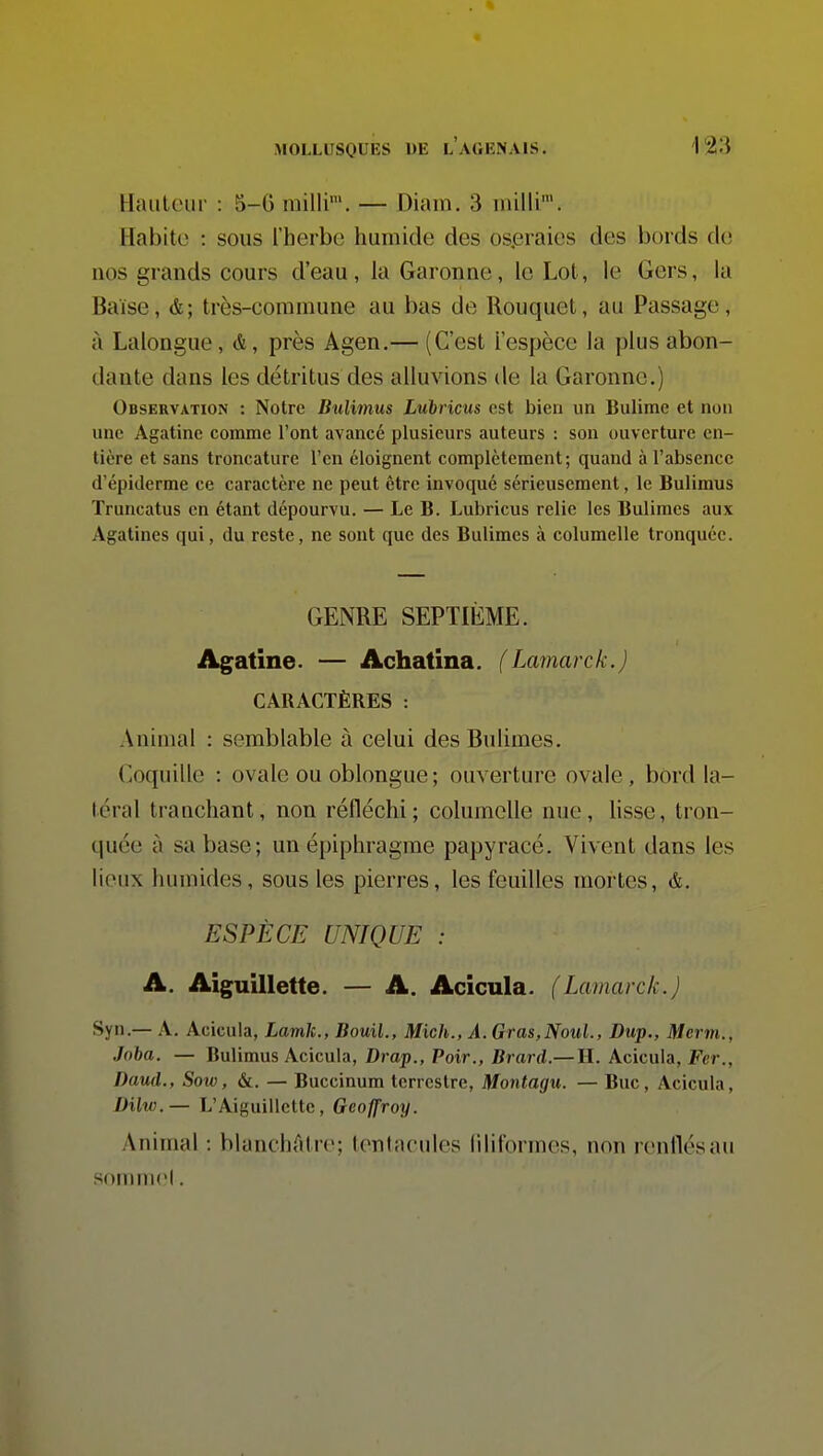 Hauteur : 5-G railli'. — Diam. 3 nnlli'. Habite : sous l'herbe humide des os.eraies des bords de nos grands cours d'eau, la Garonne, le Lot, le Gers, la Baise, & ; très-commune au bas de Rouquet, au Passage, à Lalongue, &, près Agen.— (C'est l'espèce la plus abon- dante dans les détritus des alluvions de la Garonne.) Observation : Notre Bulimus Lulricus est bien un Bulime et non une Agatinc comme l'ont avancé plusieurs auteurs : son ouverture en- tière et sans troncature l'en éloignent complètement; quand à l'absence d'épiderme ce caractère ne peut être invoqué sérieusement, le Bulimus Truncatus en étant dépourvu. — Le B. Lubricus relie les Bulimes aux Agatines qui, du reste, ne sont que des Bulimes à columelle tronquée. GENRE SEPTIÈME. Agatine. — Achatina. (Lamarck.) CARACTÈRES : Animal : semblable à celui des Bulimes. Coquille : ovale ou oblongue; ouverture ovale, bord la- téral tranchant, non réfléchi; columelle nue, hsse, tron- quée à sa base; un épiphragme papyracé. Vivent dans les lieux humides, sous les pierres, les feuilles mortes, &. ESPÈCE UNIQUE : A. Aiguillette. — A. Acicula. (Lamarck.) Syn.— A. Acicula, Lamk., Bouil., Mich., A. Gras,Noul., Dup., Mcrm., Joba. — Bulimus Acicula, Drap., Poir., Brard.— II. Acicula, Fer., Daud., Sow, &. — Buccinum terrestre, Montagu. — Bue, Acicula, Dilw.— L'Aiguillette, Geoffroy. Animal : blanchAtre; tentacules liliformes, non renflés au somme!.