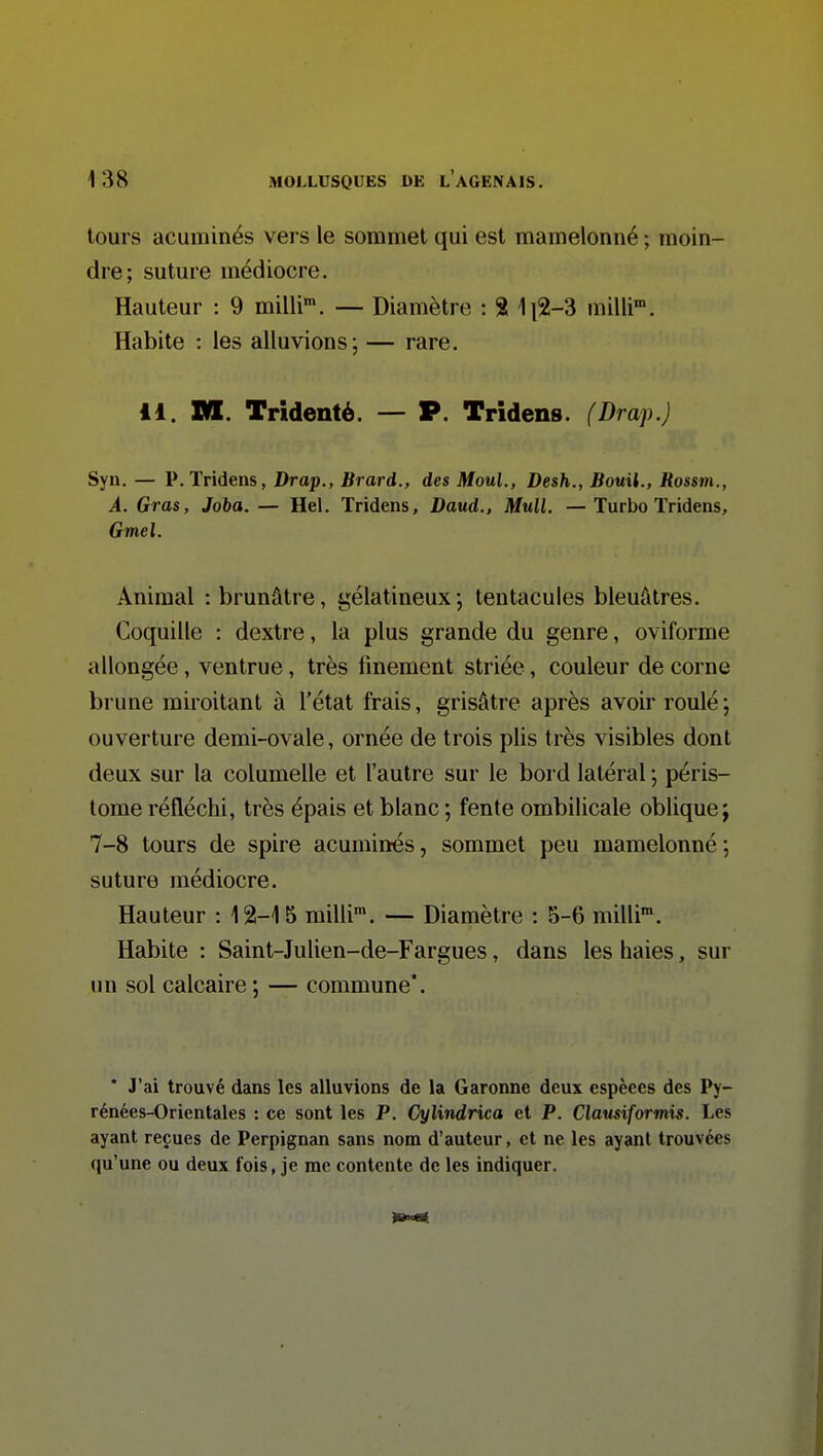 tours acuminés vers le sommet qui est mamelonné ; moin- dre; suture médiocre. Hauteur : 9 milli. — Diamètre : % 1i2-3 milli. Habite : les alluvions; — rare. 11. W. Trîdenté. — P. Tridens. (Drap.) Syn. — P.Tridens, Drap., Brard., des MouL, Desh., Bouil., Rossm., A. Gras, Joba. — Hel. Tridens, Daud., Mull. — Turbo Tridens, Gmel. Animal : brunâtre, gélatineux j tentacules bleuâtres. Coquille : dextre, la plus grande du genre, oviforme allongée, ventrue, très finement striée, couleur de corne brune miroitant à l'état frais, grisâtre après avoir roulé ; ouverture demi-ovale, ornée de trois plis très visibles dont deux sur la columelle et l'autre sur le bord latéral ; péris- tome réfléchi, très épais et blanc ; fente ombilicale oblique; 7-8 tours de spire acuminés, sommet peu mamelonné ; suture médiocre. Hauteur : 12-15 milli. — Diamètre : 5-6 milli. Habite : Saint-Julien-de-Fargues, dans les haies, sur un sol calcaire ; — commune*. * J'ai trouvé dans les alluvions de la Garonne deux espèces des Py- rénées-Orientales : ce sont les P. Cylindrica et P. Clausiformis. Les ayant reçues de Perpignan sans nom d'auteur, et ne les ayant trouvées qu'une ou deux fois, je rac contente de les indiquer.