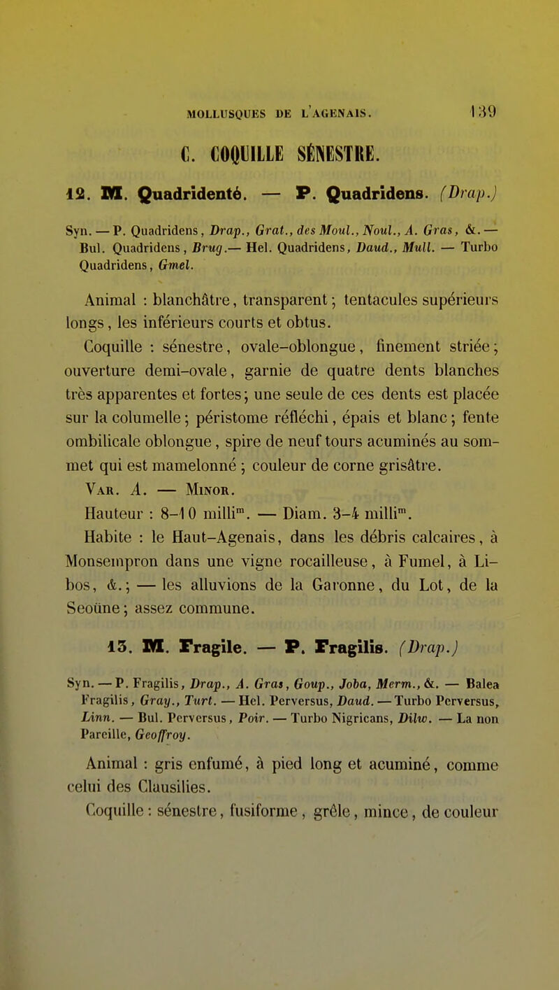 C. COOUiLLE SÉNESTRE. 12. M. Quadrldenté. — P. Quadridens. (Drap.) Syn. — P. Quadridens, Drap., Grat., des Moul., NouL, A. Gras, &.— Bul. Qviadridens, Brug.— Hel. Quadridens, Daud., Mull. — Turbo Quadridens, Gmel. Animal : blanchâtre, transparent ; tentacules supérieurs longs, les inférieurs courts et obtus. Coquille : sénestre, ovale-oblongue, finement striée ; ouverture demi-ovale, garnie de quatre dents blanches très apparentes et fortes ; une seule de ces dents est placée sur la columelle ; péristome réfléchi, épais et blanc ; fente ombilicale oblongue, spire de neuf tours acuminés au som- met qui est mamelonné ; couleur de corne grisâtre. VaR. a. MlNOR. Hauteur : 8-10 milli™. — Diam. 3-4 milli'. Habite : le Haut-Agenais, dans les débris calcaires, à Monsempron dans une vigne rocailleuse, à Fumel, à Li- bos, — les alluvions de la Garonne, du Lot, de la Seoûne ; assez commune. 13. M. Fragile. — P. Fragilis. (Drap.) Syn. — P. Fragilis, Drap., A. Gras, Goup., Joba, Merm.,6c. — Balea Fragilis, Gray., Turt. — Hel. Perversus, Daud. — Turbo Pcrversus, Linn. — Bul. Perversus, Poir. — Turbo Nigricans, Dilw. — La non Pareille, Geoffroy. Animal : gris enfumé, à pied long et acuminé, comme celui des Clausilies. Coquille : sénestre, fusiforme , grêle, mince, de couleur