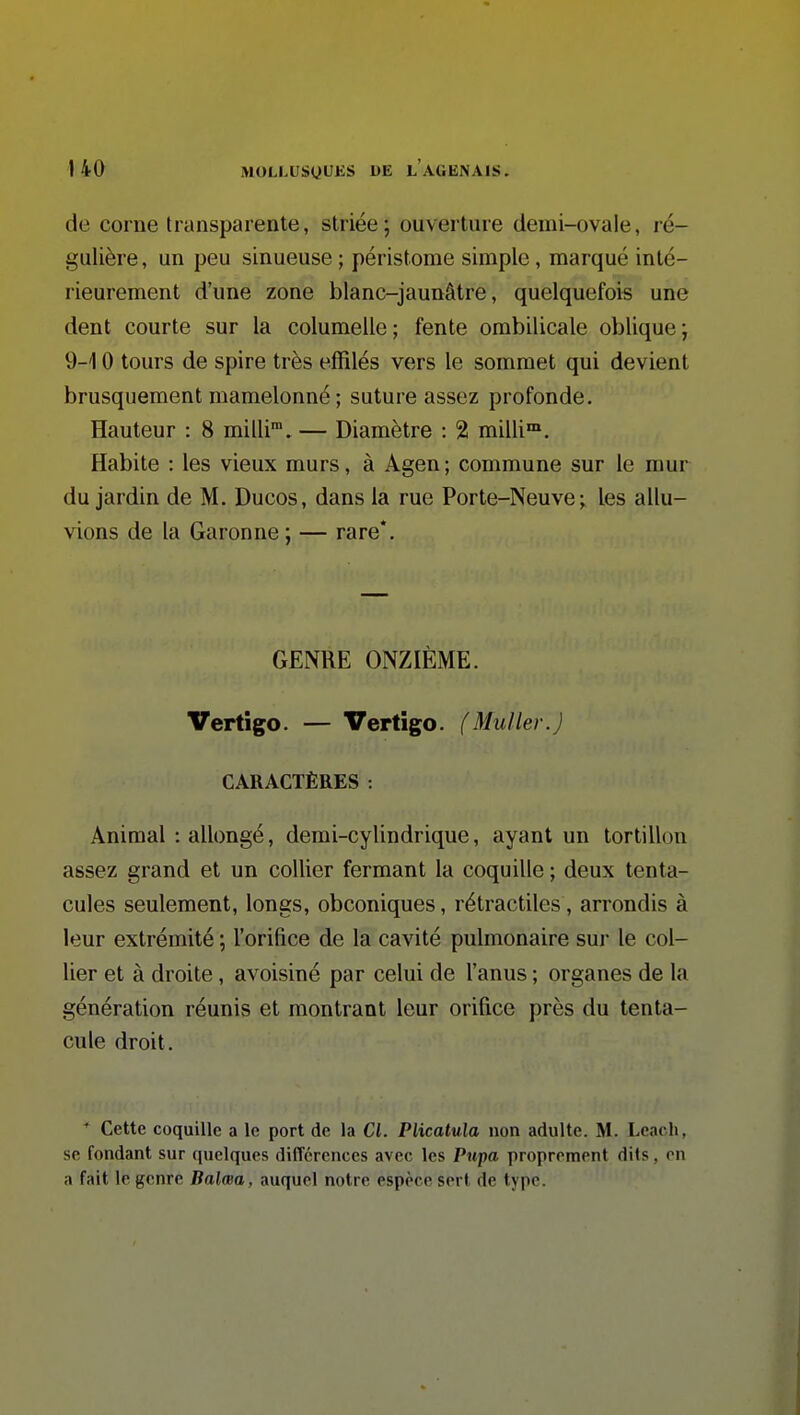 de corne transparente, striée; ouverture demi-ovale, ré- gulière , un peu sinueuse ; péristome simple, marqué inté- rieurement d'une zone blanc-jaunâtre, quelquefois une dent courte sur la columelle; fente ombilicale oblique; 9-10 tours de spire très effilés vers le sommet qui devient brusquement mamelonné ; suture assez profonde. Hauteur : 8 milli™. — Diamètre : 2 milli™. Habite : les vieux murs, à Agen ; commune sur le mur du jardin de M. Ducos, dans la rue Porte-Neuve; les allu- vions de la Garonne ; — rare*. GENRE ONZIÈME. Vertîgo. — Verligo. (Muller.) CARACTÈRES : Animal : allongé, demi-cylindrique, ayant un tortillon assez grand et un collier fermant la coquille ; deux tenta- cules seulement, longs, obconiques, rétractiles, arrondis à leur extrémité ; l'orifice de la cavité pulmonaire sur le col- lier et à droite, avoisiné par celui de l'anus ; organes de la génération réunis et montrant leur orifice près du tenta- cule droit. Cette coquille a le port de la Cl. Plicatula non adulte. M. Leacli, se fondant sur quelques différences avec les Pupa proprement diis, on a fait le genre Balma, auquel notre espèce sert de type.