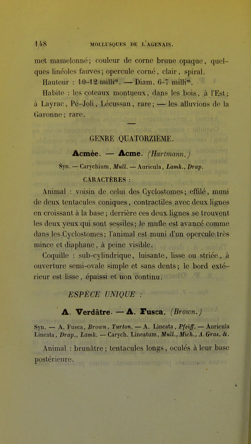 met mamelonné; couleur de corne brune opaque, quel- ques linéoles fauves; opercule corné, clair, spiral. Hauteur : 10-12 milli'. —Diara. 6-7 milli*. Habite : les coteaux montueux, dans les bois, à l'Est ; à Layrac, Pé-Joli, Lécussan, rare ; — les alluvions de la Garonne ; rare. GENRE QUATORZIÈME. Acmée. — Acme. (Hartmann.) Syn. — Carychium, Mull. — Auricula, Lamk., Drap. CARACTÈRES : Animal : voisin de celui des Gyclostomes ; effilé, muni de deux tentacules coniques, contractiles avec deux lignes en croissant à la base ; derrière ces deux lignes se trouvent les deux yeux qui sont sessiles; le mufle est avancé comme dans les Gyclostomes; l'animal est muni d'un opercule très mince et diaphane, à peine visible. Goquille : sub-cylindrique, luisante, lisse ou striée, à ouverture semi-ovale simple et sans dents ; le bord exté- rieur est lisse, épaissi et non continu. ESPÈCE UNIQUE : A. Verdâtre.—A. Fusca. (Broion.) Syn. — A. Fusca, Brown, Turton. — A. Lineata , Pfeiff. — Auricula Lineata, Drap., Lamk. —Carych. Lineatum, Mull.,Mich., À. Gras, &. Animal : brunâtre ; tentacules longs, oculés à leur base postérieure.