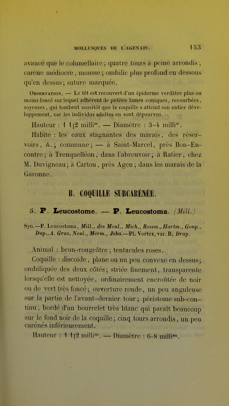 avancé que lo coluniellaire ; quatre tours à peine arrondis ; carène médiocre, mousse ; ombilic plus profond en dessous qu'en dessus; suture marquée. Observation, — Le tèt est recouvert d'un épiderme verdâtre plus ou moins foncé sur lequel adhèrent de petites lames coniques, recourbées, soyeuses, qui tombent aussitôt que la coquille a atteint son entier déve- loppement, car les individus adultes en sont dépourvus. Hauteur : 1 1|2l milli. — Diamètre : 3-4 milli'. Habite : les eaux stagnantes des marais, des réser- voirs, &.-J commune; — à Saint-Marcel, près Bon-En- contre -, à Trenquelléon, dans l'abreuvoir ; à Ratier, chez M. Duvigneau; à Cartou, près Agen ; dans les marais de la Garonne. B. GOQllLLE SIBCARÉNÉE. 5. P. Leucostome. — P. Leucostoma. (Mill.) Syn.—P. Leucostoma, Mill., des Moul., Mich., Rossm.,Hartm., Goup., Dup.,A. Gras, Noul., Merm., Jola.—Vl. Vortex, var. B, Drap. Animal : brun-rougeâtre ; tentacules roses. Coquille : discoïde, plane ou un peu convexe en dessus; ombiliquée des deux côtés; striée finement, transparente lorsqu'elle est nettoyée, ordinairement encroûtée de noir ou de vert très foncé; ouverture ronde, un peu anguleuse sur la partie de l'avant-dernier tour ; péristome sub-con- tinu, bordé d'un bourrelet très blanc qui paraît beaucoup sur le fond noir de la coquille ; cinq tours arrondis, un peu carénés inférieurement. Hauteur : 1 1|2 milli\ — Diamètre : 6-8 milli».