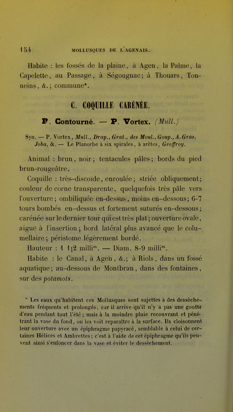 Habite : les fossés de la plaine, à Agen, la Palme, la Gapelette, au Passage, à Ségougnac; à Thouars, Ton- neins, &. ; commune*. C. COftllLLE CARÉNÉE. F. Contourné. — P. Vortex. (Mull.) Syn. — P. Vortex, Mull., Drap., Grat., des Moul.,Goup.,À.Gras, Joha, &.— Le Planorbe à six spirales, à arêtes, Geoffroy. Animal : brun, noir \ tentacules pâles ; bords du pied brun-rougeâtre. Coquille : très-discoïde, enroulée ; striée obliquement; couleur de corne transparente, quelquefois très pâle vers l'ouverture; ombiliquée en-dessus, moins en-dessous; 6-7 tours bombés en-dessus et fortement suturés en-dessous ; carénée sur le dernier tour qui est très plat ; ouverture ovale, aiguë à l'insertion; bord latéral plus avancé que le colu- mellaire; péristome légèrement bordé. Hauteur : \ \\% milli'. — Diam. 8-9 milli'. Habite : le Canal, à Ageri, &.; à Riols, dans un fossé aquatique ; au-dessous de Montbran, dans des fontaines, sur àes fotamots. * Les eaux qu'habitent ces Mollusques sont sujettes à des dessèche- ments fréquents et prolongés, car il arrive qu'il n'y a pas une goutte d'eau pendant tout l'été ; mais à la moindre pluie recouvrant et péné- trant la vase du fond, on les voit reparaître à la surface. Ils cloisonnent leur ouverture avec un épiphragme papyracé, semblable à celui de cer- taines Hélices et Ambrettes ; c'est à l'aide de cet épiphragme qu'ils peu- vent ainsi s'enfoncer dans la vase et éviter le dessèchement.