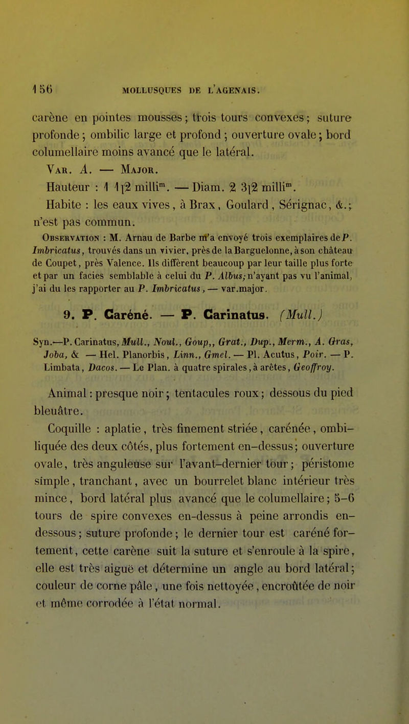 carène en pointes mousses ; ttois tours convexes ; suture profonde ; ombilic large et profond ; ouverture ovale ; bord columellaire moins avancé que le latéral. Var. a. — Major. Hauteur : \ \\% milli. —Diam. 2 3i2 milli. Habite : les eaux vives, à Brax, Goulard , Sérignac, n'est pas commun. Observation : M. Arnau de Barbe m'a envoyé trois exemplaires deP. Imhricatus, trouvés dans un vivier, près de laBarguelonne,àson château de Coupet, près Valence. Ils diffèrent beaucoup par leur taille plus forte et par un faciès semblable à celui du P. ^[6ms; n'ayant pas vu l'animal, j'ai du les rapporter au P. ImhTicatus, — var.major. 9. P. Caréné. — P. Garinatus. (Mull.) Syn.—P. CarinatuSjMttU., Noul., Goup,, Grat., Dup., Merm., A. Gras, Joba, & — Hel. Planorbis, Linn., Gmel. — Pl. Acutus, Poir. — P. Limbata, Dacos. — Le Plan, à quatre spirales, à arêtes, Geoffroy. Animal : presque noir ; tentacules roux ; dessous du pied bleuâtre. Coquille : aplatie, très finement striée, carénée, ombi- liquée des deux côtés, plus fortement en-dessus; ouverture ovale, très anguleuse sur l'avant-dernier tour ; péristomc simple, tranchant, avec un bourrelet blanc intérieur très mince, bord latéral plus avancé que le columellaire ; 5-6 tours de spire convexes en-dessus à peine arrondis en- dessous ; suture profonde ; le dernier tour est caréné for- tement , cette carène suit la suture et s'enroule à la spire, elle est très aiguë et détermine un angle au bord latéral ; couleur de corne pâle, une fois nettoyée, encroûtée de noir et même corrodée à l'état normal.