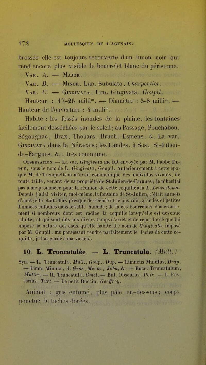 brossée elle est toujours recouverte d'un limon noir qui rend encore plus visible le bourrelet blanc du péristome. Var. a. — Majok. Var. B. •— MiNou, Lim. Subulata, Charpentier. Var. C. — GiNGivATA, Lim. Gingivata, Goupil. Hauteur : 17-26 raiirr. — Diamètre : 5-8 milli'. — Hauteur de l'ouverture : 5 milli'. Habite : les fossés inondés de la plaine, les fontaines facilement desséchées par le soleil ; au Passage, Pouchabou, Ségougnac, Brax, Thouars, Bruch, Espions, &, La var. Gingivata dans le Néracais; les Landes, à Sos, St-Julien- de-Fargues, &. ; très commune. Observation. — La var. Gingivata me fut envoyée par M. l'abbé Du- puY, sous le nom de L. Gingivata, Goupil. Antérieurement à cette épo- que M. de ïrenquelléon m'avait communiqué des individus vivants, de toute taille, venant de sa propriété de St-Julicn-de-Fargues ; je n'hésitai pas à me prononcer pour la réunion de cette coquille à la L. Leucostoma. Depuis j'allai visiter, moi-même, la fontaine de St-Julien, c'était au mois d'août; elle était alors presque desséchée et je pus voir, grandes et petites Limnées enfouies dans le sable humide ; de là ces bourrelets d'accroisse- ment si nombreux dont est radiée la coquille lorsqu'elle est devenue adulte, et qui sont dûs aux divers temps d'arrêt et de repos forcé que lui impose la nature des eaux qu'elle habite. Le nom de Gingivata, imposé par M. Goupil, me paraissant rendre parfaitement le faciès de cette co- quille, je l'ai gardé à ma variété. 10. L. Troncatulée. — L. Truncatula. (Mull.) Syn. — L. Truncatula, Mull., Goup., Dup. — Limneus Minutus, Drap. — Limn. Minuta, À. Gras, Merm., Joha, &. — Bucc. Truncatulum, Muller. — H. Truncatula, Gmel. — Bul. Obscurus. Poir. — L Fos- sarius, Turt. — Le petit Buccin, Geoffroy. Animal : gris enfume, plus pAlc en-dessous; corps ponctué de taches doroos.