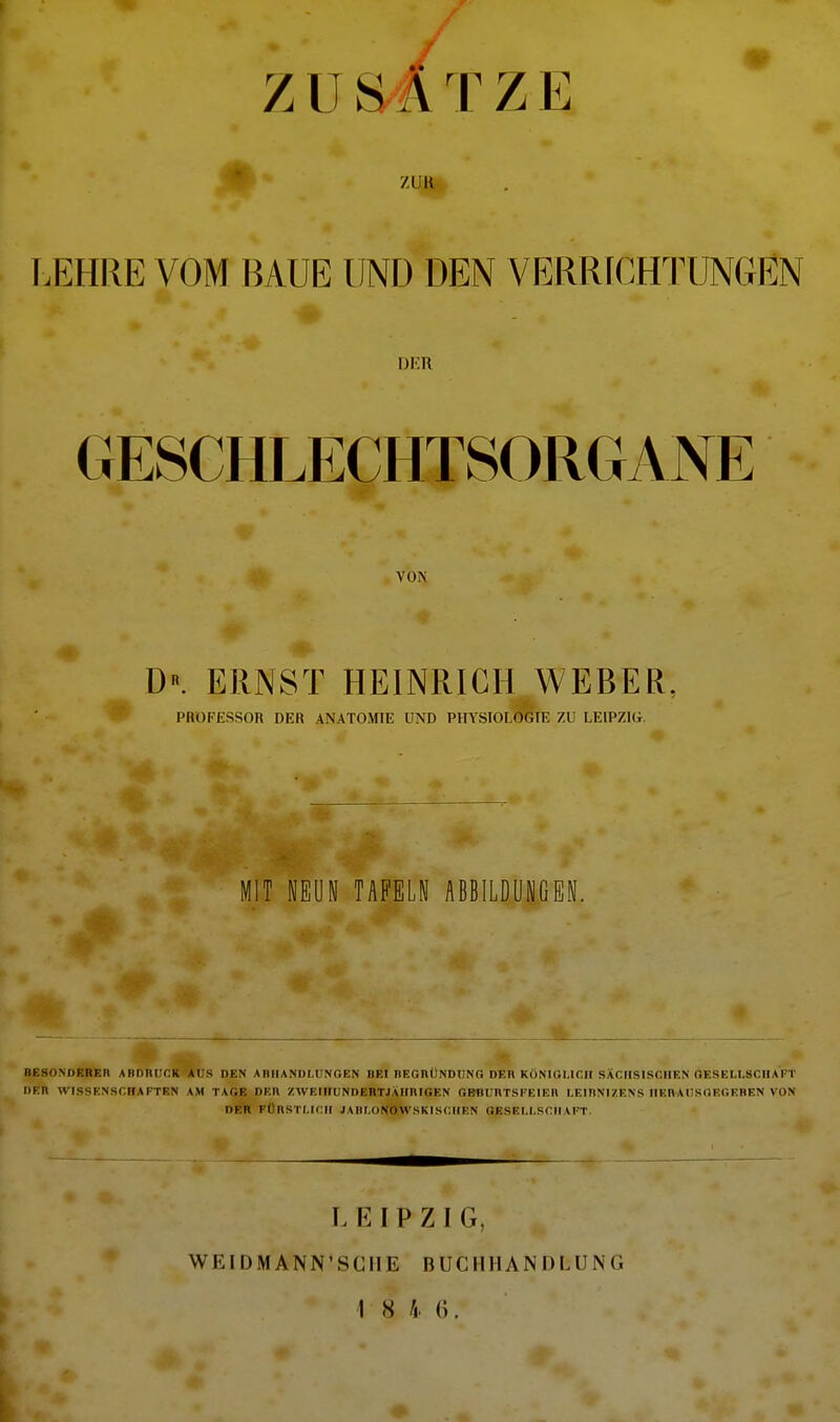 Z U S A T Z E ZUR- [.EHRE VOM BAUE UND DEN VERRfCHTUNGEN DKU GESCHLECHTSORGANE VON D«. ERNST HEINRICH WEBER. PROFESSOR DER ANATOMIE UND PHYSIOLOGIE ZU LEIPZIG. MIT NEUN TAFELN ABBILDUNGEN. BESOMlF.RF.n ABDHIICK AUS DEN AnilANULÜNGEN BEI nEOnÜNDIINO nRR KÖNIOI.ICH SÄCHSISCHEN OESELLSCIIAFT DER WISSENSCHAFTEN AM TAGE DEIl ZWEIHUNDEnTJAHniGEN GBBUnTSFElEH I.EinNI/.ENS nEnAIIS(iE(;EBEN VON DER FÜnSTI.ICII JAIII.ONOWSKISCHEN GESELLSCHAFT. LEIPZIG, WEIDMANN'SCIIE BUCHHANDLUNG