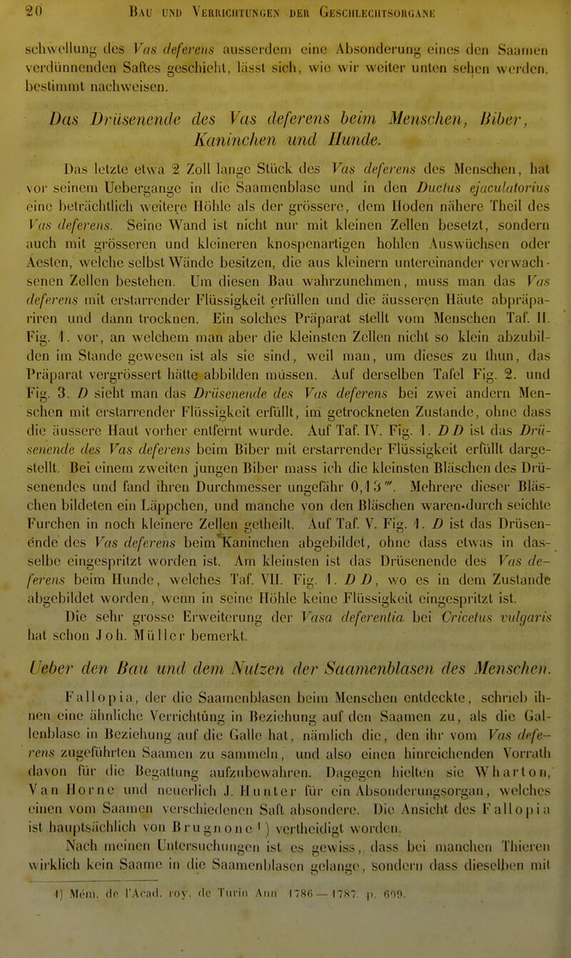 schvvolluny lies Vas defereiis ausscrtlcMu eine Absonderung eines den Saainen verdünnenden Saftes geschieht, liisst sich, wie wir weiter unten seilen werden, bestimmt nachweisen. Das üräsenende des Vas deferens beim Menschen, Biber, Kaninchen und Hunde. Das letzte etwa 2 Zoll lange Stück des Vas deferens des Menschen, hat vor seinem Uebergangc in die Saamcnblase und in den Ductus ejuculutorius eine beträchtlich weitere Höhle als der grössere, dem Hoden nähere Theil des r<;,s deferens. Seine Wand ist nicht nur mit kleinen Zellen besetzt, sondern auch mit grösseren und kleineren knospenartigen hohlen Auswüchsen oder Äesten, welche selbst Wände besitzen, die aus kleinern untereinander verwach- senen Zellen bestehen. Um diesen Bau wahrzunehmen, rauss man das Vas deferens mit erstai'render Flüssigkeit erfüllen und die äusseren Häute abpräpa- riren und dann trocknen. Ein solches Präparat stellt vom Menschen Taf. H. Fig. 1. vor, an welchem man aber die kleinsten Zellen nicht so klein abzubil- den im Stande gewesen ist als sie sind, weil man, um dieses zu thun, das Präparat vergrössert hätte abbilden müssen. Auf derselben Tafel Fig. 2. und Fig. 3. D sieht man das Drüsenende des Vas deferens bei zwei andern Men- schen mit erstarrender Flüssigkeit erfüllt, im getrockneten Zustande, ohne dass die äussere Haut voiher entfernt wurde. Auf Taf. IV. Fig. \ . DD ist das Drü- senende des Vas deferens beim Biber mit erstarrender Flüssigkeit erfüllt darge- stellt. Bei einem zweiten jungen Biber mass ich die kleinsten Bläschen des Drü- senendes und fand ihren Durchmesser ungefähr 0,13'. Mehrere dieser Blas- chen bildeten ein Läppchen, und manche von den Bläschen waren-durch seichte Furchen in noch kleinere Zellen sretheilt. Auf Taf V. Fig. >]. D ist das Drüsen- ende des Vas deferens beim Kaninchen abgebildet, ohne dass etwas in das- selbe eingespritzt worden ist. Am kleinsten ist das Drüsenendc des Vas de- ferens beim Hunde, welches Taf VH. Fig. \. D D, wo es in dem Zustande abgebildet worden, wenn in seine Höhle keine Flüssigkeit eingespritzt ist. Die sehr grosse Erweiterung der Vasa deferenlia bei Criceius vulgaris hat schon Joh. Müller bemerkt. Ueber den Bau und dem Nutzen der Saamenblasen des Menschen. Fallopia, der die Saamenblasen beim Menschen entdeckte, schrieb ih- nen eine ähnliche Verrichtung in Beziehung auf den Saamen zu, als die Gal- lenblase in Beziehung auf die Galle hat, nämlich die, den ihr vom Vas defe- rens zugeführten Saamen zu sammeln, und also einen hinreichenden Vorrath davon für die Begattung aufzubewahren. Dagegen hielten sie Wharton, Van Home und neuerlich J. Hunter für ein Absonderungsorgan, welches einen vom Saamen verschiedenen Saft al)soiidere. Die Ansicht des Fallo|)ia ist hauptsächlich von Brugnone ') verlheidigt worden. Nach meinen Untersuchungen ist es gewiss, dass bei manchen Thieren wirklich kein Saame in die Saamenblasen gelange, sondern dass dieselben mit 4) Mein, de PAcad. roy. de Turin Ann I7S6 —1787. p. 600.