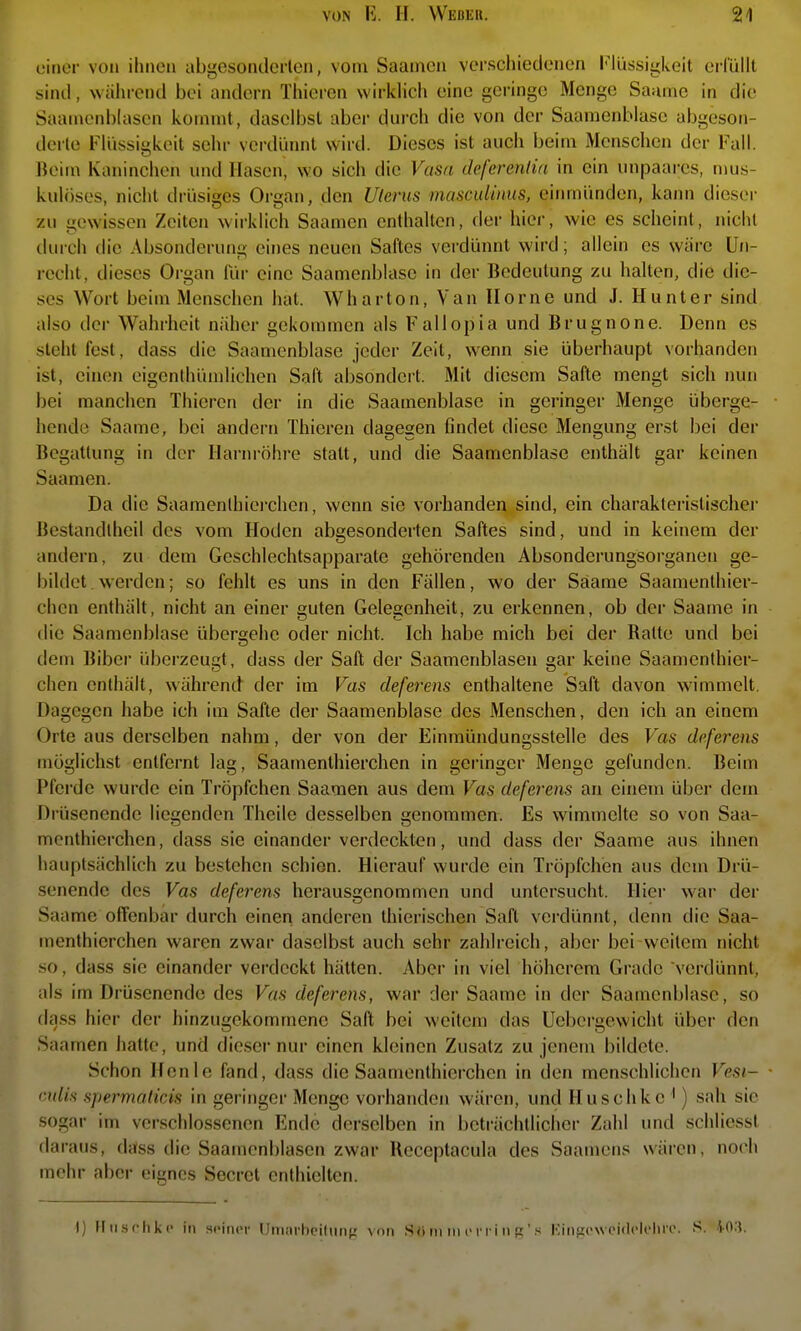 einer von ihnen abgesonderten, vom Saaincii verschieiienen l-'iüssigkeit erlüllt sind, während bei andern Thieren wirkHcli eine geringe Menge Saainc in die Saainenblascn koinnit, daselbst aber dui-ch die von der Saamenblasc abgeson- derte FUissigkeit sehr verdünnt wird. Dieses ist auch beim Menschen der Fall. lk>im Kaninchen und Hasen, wo sich die Vasn deferenlin in ein iinpaares, mus- kulöses, nicht drüsiges Organ, den Ulerus masculinus, einmünden, kann dieser zu gewissen Zeiten wirklich Saamen enthalten, der hier, wie es scheint, nicht durch die Absonderung eines neuen Saftes verdünnt wird; allein es wäre Un- recht, dieses Organ iür eine Saamenblasc in der Bedeutung zu halten, die die- ses Wort beim Menschen hat. Wharton, Van Home und J. Hunter sind also der Wahrheit näher gekommen als Fallopia und Brugnone. Denn es steht fest, dass die Saamenblasc jeder Zeit, wenn sie überhaupt vorhanden ist, einen eigenthümlichen Saft absondert. Mit diesem Safte mengt sich nun bei manchen Thieren der in die Saamenblasc in geringer Menge überge- hende Saame, bei andern Thieren dagegen findet diese Mengung erst bei der Begattung in der Harnröhre statt, und die Saamenblasc enthält gar keinen Saamen. Da die Saamenlhiei-chen, wenn sie vorhanden sind, ein charakteristischer Bestandlheil des vom Hoden abgesonderten Saftes sind, und in keinem der andern, zu dem Geschlechtsapparate gehörenden Absonderungsoi'ganen ge- bildet . werden; so fehlt es uns in den Fällen, wo der Säame Saamenlhier- chen enthält, nicht an einer guten Gelegenheit, zu erkennen, ob der Saame in die Saamenblasc übergehe oder nicht. Ich habe mich bei der Ratte und bei dem Biber überzeugt, dass der Saft der Saamenblasen gar keine Saamenthier- chen enthält, während der im Vas deferens enthaltene Saft davon wimmelt. Dagegen habe ich im Safte der Saamenblasc des Menschen, den ich an einem Orte aus derselben nahm, der von der Einmündungssteile des Vas deferens möglichst entfernt lag, Saamenthierchen in geringer Menge gefunden. Beim Pferde wurde ein Tröpfchen Saamen aus dem Vas deferens an einem über dem Drüsenende liegenden Theile desselben genommen. Es wimmelte so von Saa- menthierchen, dass sie einander verdeckten, und dass der Saame aus ihnen hauptsächlich zu bestehen schien. Hierauf wurde ein Tröpfchen aus dem Drü- senendc des Vas deferens herausgenommen und untersucht. Iliei- war der Saame offenbar durch einen anderen thierischen Saft verdünnt, denn die Saa- menthierchen waren zwar daselbst auch sehr zahlreich, aber bei weitem nicht so, dass sie einander vei'dcckt hätten. Aber in viel höherem Grade verdünnt, als im Drüsenende des Vas deferens, war der Saame in der Saamenblasc, so da.ss hier der hinzugekommene Saft bei weitem das Uebergewicht über den Saamen hatte, und dieser nur einen kleinen Zusatz zu jenem bildete. Schon Hcnle fand, dass die Saamenthierchen in den menschlichen Vesi- • cnlis spermaticis in geringer Menge vorhanden wären, und Fluschkc ') sah sie sogar im verschlossenen Ende derselben in beträchtlicher Zahl und schliessl daraus, dalss die Saamenblasen zwar Receptacula des Saamens wären, noch mehr aber eignes Secret enthielten. I) Hiisrhkc in .seiner Umarbcilunf; von Sörii nie ni n }i' s isingewcideieiire. S. tO.J.