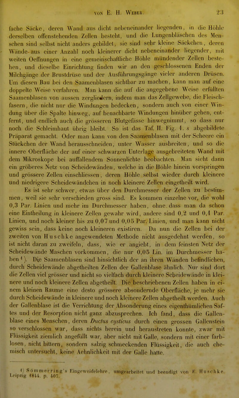 lache Siickc, deren Wand aus dicht nebeneinander hegenden, in die Höhle derselben otFenstehenden Zellen besteht, und die Lungenbläschen des Men- schen sind selbst nicht anders gebildet, sie sind sehr kleine Säckclien, deren Wände-aus einer Anzahl noch kleinerer dicht nebeneinander liegender, mit weiten Oeffnungen in eine gemeinschaftliche Höhle mündender Zellen beste- llen, und dieselbe Einrichtung finden wir an den geschlossenen Enden der Milchgänge der Brustdrüse und der Auslührungsgänge vieler anderen Drüsen. Um diesen Bau bei den Saamenblasen sichtbar zu machen, kann man auf eine doppelte Weise verfahren. Man kann die auf die angegebene Weise erfüllten Saamenblasen von aussen zerglieilern, indem man das Zellgewebe, die Fleisch- fasern, die nicht nur die Windungen bedecken, sondern auch von einer Win- dung über die Spalte hinweg, auf benachbarte Windungen hinüber gehen, ent- fernt, und endlich auch die grösseren Blutgefässe hinwegnimmt, so dass nur noch die Schleimhaut übrig bleibt. So ist das Taf. H. Fig. 1. s abgebildete Präparat gemacht. Oder man kann von den Saamenblasen mit der Scheere ein Stückchen der Wand herausschneiden, unter Wasser ausbreiten, und so die innere Oberfläche der auf einer schwarzen Untei-lage ausgebreiteten Wand mit dem Mikroskope bei auffallendem Sonnenlichte beobachten. Man sieht dann ein gröberes Netz von Scheidewänden, welche in die Höhle hinein vorspringen und grössere Zellen einschliessen, deren Höhle selbst wieder durch kleinere und niedrigere Scheidewändchen in noch kleinere Zellen eingetheilt wird. Es ist sehr schwer, etwas über den Durchmesser der Zellen zu bestim- men , weil sie sehr verschieden gross sind. Es kommen einzelne vor, die w^ohl 0,3 Par. Linien und mehr im Durchmesser haben, ohne dass man da schon eine Eintheilung in kleinere Zellen gewahr wird, andere sind 0,2 und 0,1 Par. Linien, und noch kleiner bis zu 0,07 und 0,05 Par. Linien, und man kann nicht gewiss sein, dass keine noch kleineren existiren. Da nun die Zellen bei der zweiten von Huschke angewendeten Methode nicht ausgedehnt werden, so ist nicht daran zu zweifeln, dass, wie er angiebt, in dem feinsten Netz der Scheidewände Ma.schen vorkommen, die nur 0,05 Lin. im Durchmesser ha- ben ^). Die Saamenblasen sind hinsichtlich der an ihren Wänden befindlichen, durch Scheidewände abgetheilten Zellen der Gallenblase ähnlich. Nur sind dort die Zellen viel grösser und nicht so vielfach durch kleinere Scheidewände in klei- nere und noch kleinere Zellen abgetheilt. Die beschriebenen Zellen haben in ei- nem kleinen Räume eine desto grössere absondernde Oberfläche, je mehr sie durch Scheidewände in kleinere und noch kleinere Zellen abgetheilt werden. Auch der Gallenblase ist die Verrichtung der Absonderung eines eigenthümlichen Saf- tes und der Resorption nicht ganz abzusprechen. Ich fand, dass die Gallen- blase eines Menschen, deren Ductus cysticus durch einen grossen Gallenstein so verschlossen war, dass nichts herein und heraustreten konnte, zwar mit Flüssigkeit ziemlich angefüllt war, aber nicht mit Galle, sondern mit einer farb- losen, nicht bittern, sondern salzig schmeckenden Flüssigkeit, die auch che- misch untersucht, keine Aehnlichkeit mit der Galle hatte. ^ -1) Sömmerring's Eingcwcidelehre, nmgoarbeilPl und beendiKl von K. Huschke. Leipzig 1844. p. 407.