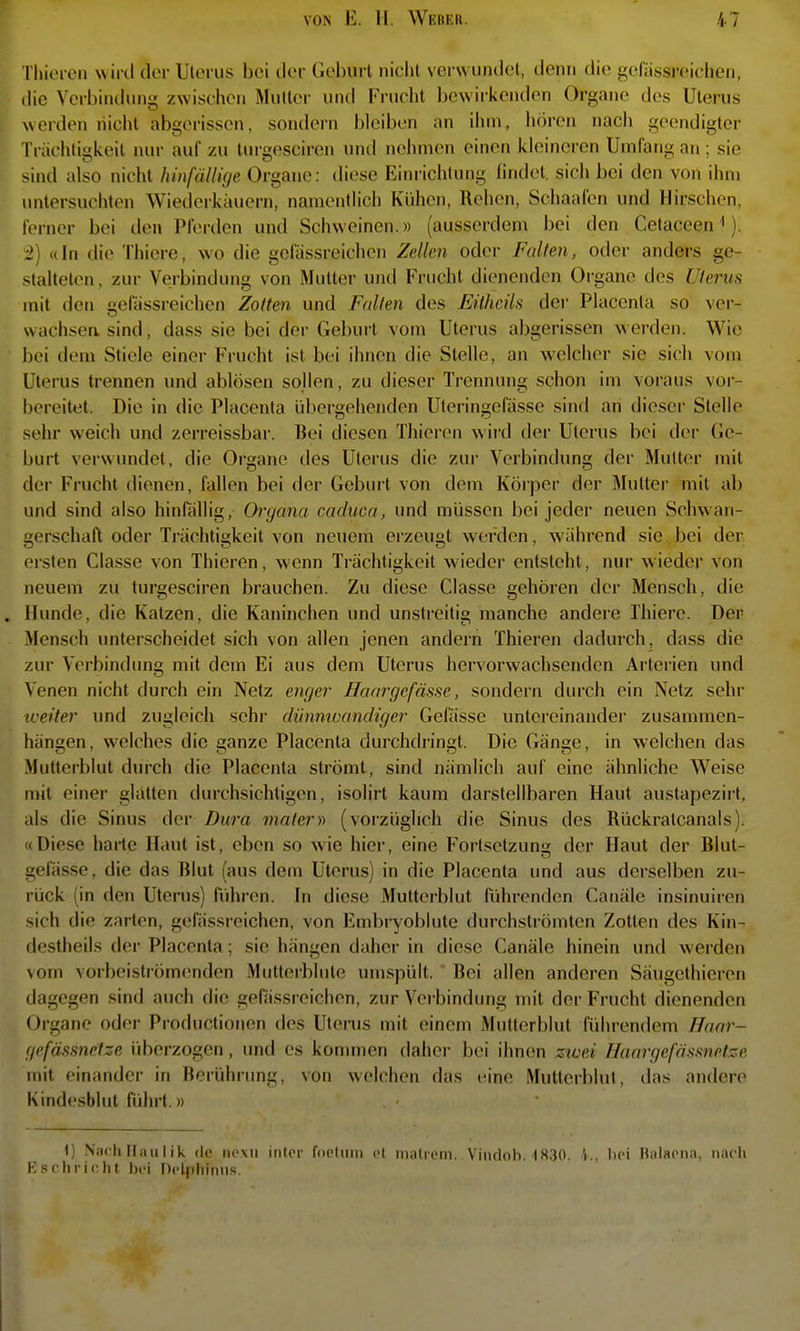 Thioien wirti der Ulcrus bei der Gehurl nichl verwundet, denn die gefässreiehen, die Verbindung zwischen Mutter und Frucht bewirkenden Organe des Uterus werden nicht abgerissen, sondern bleiben an ihm, hören nach geendigter Triichtigkeit nur auf zu turgesciren und nehmen einen kleineren Umfang an ; sie sind also nicht hinfällige Organe: diese Einrichtung findet, sich bei den von ihm untersuchten Wiederkäuern, namentlich Kühen, Rehen, Schaafen und Hirschen, lerner bei den Pferden und Schweinen.» (ausserdem bei den Cetaceen ^). 2) «In die Thicre, wo die gefässreichen Zellen oder Fallen, oder andei's ge- stalteten, zur Verbindung von Mutter und Frucht dienenden Organe des Uterus mit den ivelassreichen Zotten und Falten des Eitheils der Placenta so ver- wachsen sind, dass sie bei der Geburt vom Uterus abgerissen werden. Wie bei dem Stiele einer Frucht ist bei ihnen die Stelle, an welcher sie sich vom Uterus trennen und ablösen sollen, zu dieser Trennung schon im voi'aus vor- bereitet. Die in die Placenta übergehenden Uleringefässe sind an dieser Stelle sehr weich und zerreissbar. Bei diesen Tliieren w ird der Uterus bei der Ge- burt verwundet, die Organe des Uterus die zur Verbindung der Mutter mit der Frucht dienen, fallen bei der Geburt von dem Körper der Mutter mit ab und sind also hinfällig, Organa cacluca, und müssen bei jeder neuen Schwan- gerschaft oder Träciitigkeit von neuem erzeugt werden, während sie bei der ersten Classe von Thieren, wenn Trächtigkeit wieder entsteht, nur wieder von neuem zu turgesciren brauchen. Zu diese Classe gehören der Mensch, die * Hunde, die Katzen, die Kaninchen und unstreitig manche andere Ihiere. Der Mensch unterscheidet sich von allen jenen andern Thieren dadurch, dass die zur Verbindung mit dem Ei aus dem Uterus hervorwachsenden Arterien und Venen nicht durch ein Netz enger Haargefässe, sondern durch ein Netz sehr iceiter und zugleich sehi* dünnwandiger Gefässe untereinander zusammen- hängen, welches die ganze Placenta durchdringt. Die Gänge, in welchen das Mutterblut durch die Placenta strömt, sind nämlich auf eine ähnliche Weise mit einer glatten durchsichtigen, isolirt kaum darstellbaren Haut austapezirt, als die Sinus der Dura materyi (vorzüglich die Sinus des Rückratcanals). «Diese harte Haut ist, eben so wie hier, eine Fortsetzung der Haut der Blut- gefässe, die das Blut (aus dem Uterus) in die Placenta und aus derselben zu- rück (in den Uterus) führen. In diese Mutterblut führenden Caiiäle insinuiren sich die zarten, gefässreichen, von Embryoblute durchströmten Zotten des Kin- destheils der Placenta; sie hängen daher in diese Canäle hinein und werden vom vorbeiströmenden Mutterblute umspült. Bei allen anderen Säugethieren dagegen sind auch die gefässreichen, zur Vei-bindung mit der Frucht dienenden Organe oder Productionen des Uteins mit einem Mutterblut führendem llaar- gefässnetze überzogen, und es konunen daher bei ihnen zwei Haargefäsmetze mit einander in Berührung, von welchen das eine Mutterblul, das andere Kindesblut führt.» 1) Nach Flau I ik de iicxu intor foefuin et nialrom. Vindoh. IS.'IO. i hei Ralaona. naclt Ksrh rieht hei ndphimis.