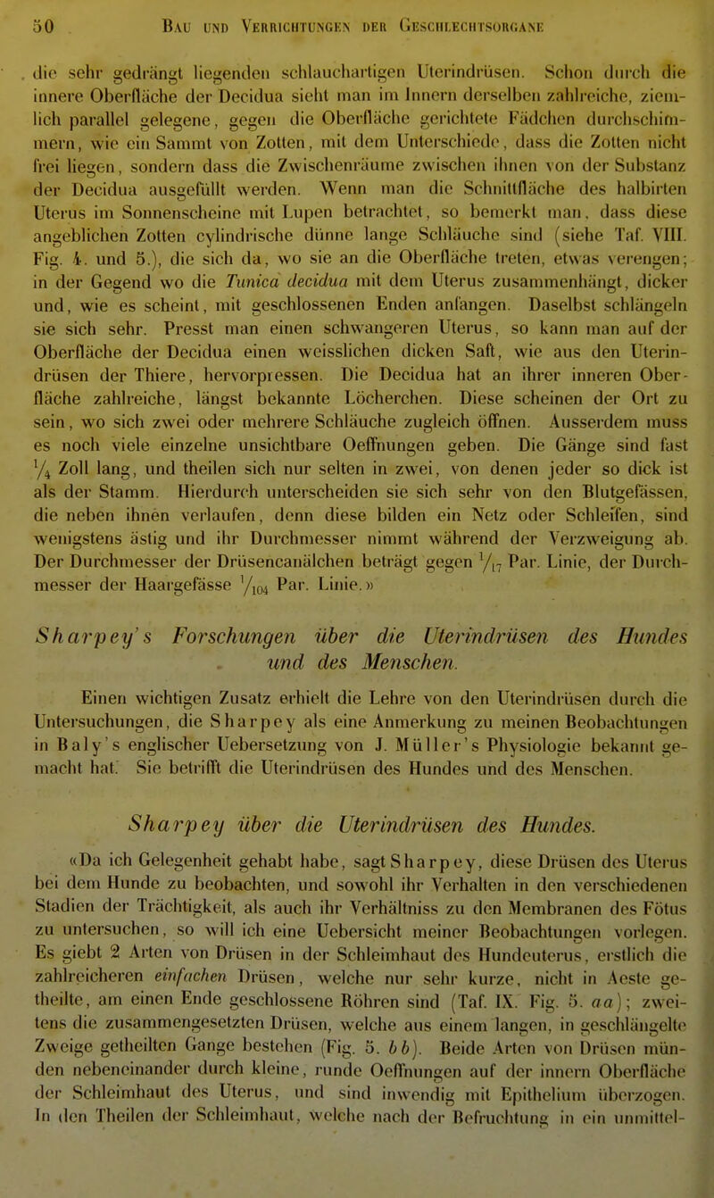 die sehr gedriingl liegenden schlaucharligen Ulerindrüsen. Schon dni-ch die innere Oberfläche der Decidua sieht man im hincrn derselben zahlreiche, ziem- lich parallel gelegene, gegen die Oberfläche gei-ichteto Fädchen durchschim- mern, wie ein Sammt von Zollen, mil dem Unlcrschiode, dass die Zollen nichl frei Uesen, sondern dass die Zwischenräume zwischen ihnen von der Subslanz der Decidua auss:erüllt werden. Wenn man die Schnillfläche des halbirlen Uterus im Sonnenscheine mit Lupen belrachlel, so bemerkt man, dass diese angeblichen Zollen cylindrische dünne lange Schläuche sind (siehe Taf. VIII. Fig. 4. und 5.), die sich da, wo sie an die Oberfläche treten, etwas verengen; in der Gegend wo die Tunica decidua mit dem Uterus zusammenhängt, dicker und, wie es scheint, mit geschlossenen Enden anfangen. Daselbst schlängeln sie sich sehr. Fresst man einen schwangeren Uterus, so kann man auf der Oberfläche der Decidua einen weisslichen dicken Saft, wie aus den Uterin- drüsen der Thiere, hervorpiessen. Die Decidua hat an ihrer inneren Ober- fläche zahlreiche, längst bekannte Löcherchen. Diese scheinen der Ort zu sein, wo sich zwei oder mehrere Schläuche zugleich öffnen. Ausserdem muss es noch viele einzelne unsichtbare Oeffriungen geben. Die Gänge sind fast '/j Zoll lang, und theilen sich nur selten in zwei, von denen jeder so dick ist als der Stamm. Hierdurch unterscheiden sie sich sehr von den Blutgefässen, die neben ihnen verlaufen, denn diese bilden ein Netz oder Schleifen, sind wenigstens ästig und ihr Durchmesser nimmt während der Verzweigung ab. Der Durchmesser der Drüsencanälchen beträgt gegen ^/i-j Par. Linie, der Durch- messer der Haargefässe ^/^q^ Par. Linie.» Sharpey' s Forschungen über die Ulerindrüsen des Hundes und des Menschen. Einen wichtigen Zusatz erhielt die Lehre von den Uterindrüsen durch die Untersuchungen, die Sharpey als eine Anmerkung zu meinen Beobachtungen in Baly's englischer Uebersetzung von J. Müll er's Physiologie bekannt ge- macht hat. Sie betrilTl die Ulerindrüsen des Hundes und des Menschen. Sharpey über die Uterindrüsen des Hundes. «Da ich Gelegenheit gehabt habe, sagt Sharpey, diese Drüsen des Uterus bei dem Hunde zu beobachten, und sowohl ihr Verhalten in den verschiedenen Stadien der Trächtigkeit, als auch ihr Verhällniss zu den Membranen des Fötus zu untersuchen, so will ich eine Uebersicht meiner Beobachtungen vorlegen. Es giebt 2 Arten von Drüsen in der Schleimhaut des Hundeuterus, erstlich die zahlreicheren einfachen Drüsen, welche nur sehr kurze, nicht in Aeste ge- theilte, am einen Ende geschlossene Röhren sind (Taf. IX. Fig. 5. aa)\ zwei- tens die zusammengesetzten Drüsen, welche aus einem langen, in geschlängelte Zweige gelheilten Gange bestehen (Fig. 5. hb). Beide Arten von Drüsen mün- den nebeneinander durch kleine, runde Oefl'nunsen auf der innern Oberfläche der Schleimhaut des Uterus, und sind inwendig mit Epithelium übei-zogen. In den Theilen der Schleimhaut, welche nach der Befruchtune in ein unmiltol-