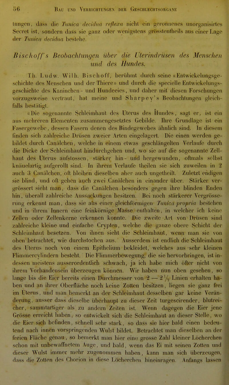 tungon, dass die Tunica decidiia reßexa nicht ein geronnones unorganisides Secret ist, sondern dass sie ganz oder wenigstens grösstentheils aus einer Lage der Tunica decidiia bestehe. Bischof/s Beobachtungen über die Ulerindrüsen des Menschen und des Hundes. Th. Ludw. Wilh. Bischoff, berühmt durch seine «Entwickelungsge- schichte des Menschen und derThiere» und durch die specicUe Enlwickelungs- geschichtc des Kaninchen - und Hundeeies, und daher mit diesen Forscliungen vorzugsweise vertraut, hat meine und Sharpey's Beobachtungen gleicli- falls bestiiligl. «Die sogenannte Schleimhaut des Uterus des Hundes, sagt er, ist ein aus mehreren Elementen zusammengesetztes Gebilde. Ihre Grundlage ist ein Fasergewebe, dessen Fasern denen des Bindegewebes ähnlich sind. In diesem finden sich zahlreiche Drüsen zweier Arten eingelagert. Die einen werden ge- bildet durch Canälchen, welche in einem etwas geschlängelten Verlaufe durch die Dicke der Schleimhaut hindurchgehen und, wo sie auf die sogenannte Zell- haut des Uterus aufslossen, stärker hin- und hergewunden, oftmals selbst knäuelartig aufgerollt sind. In ihrem Verlaufe theilen sie sich zuweilen in 2 auch 3 Canälchen, oft bleiben dieselben aber auch ungetheilt. Zuletzt endigen sie blind, und oft gehen auch zwei Canälchen in einander über. Stärker ver- grössert sieht man, dass die Canälchen besonders gegen ihre blinden Enden hin ,überall zahlreiche Aussackungen besitzen. Bei noch stäi'kerer Vergrösse- rung erkennt man, dass sie atis einer gleichförmigen Tunica propria bestehen und in ihrem Innern eine feinkörnige Masse enthalten, in welcher ich keine Zellen oder Zellenkerne erkennen konnte. Die zweite Art von Drüsen sind zahlreiche kleine und einfache Crypten, welche die ganze obere Schicht der Schleimhaut besetzen. Von ihnen sieht die Schleimhaut, wenn man sie von oben betrachtet, wie durchstochen aus. Ausserdem ist endlich die Schleimhaut des Uterus noch von einem Epithelium bekleidet, welches aus sehr kleinen Flimmercylindern besteht. Die Flimmerbewegung, die sie hervorbringen, ist in- dessen meistens ausserordentlich schwach, ja ich habe mich öfter nicht von ihrem Vorhandensein überzeugen können. Wir haben nun oben gesehen, so lange bis die Eier bereits einen Durchmesser von 2 — 2 % Linien erhalten ha- ben und an ihrer Oberfläche noch keine Zotten besitzen, liegen sie ganz frei im Uterus, und man bemerkt an der Schleimhaut desselben gar keine Verän- derung, ausser dass dieselbe überhaupt zu dieser Zeit turgescirender, blutrei- cher, sammtartiger als zu andern Zeiten ist. Wenn dagegen die Eier jene Grösse erreicht haben, so entwickelt sich die Schleimhaut an dieser Stelle, wo die Eier sich befinden, schnell sehr stark, so dass sie hier bald einen bedeu- tend nach innen vorspringenden Wulst bildet. Betrachtet man dieselben an der freien Fläche genau, so bemerkt man hier eine grosse Zahl kleiner Löcherchen schon mit unbewafTnetem Auge, und bald, wenn das Ei mit seinen Zotten und dieser Wulst immer mehr zugenommen haben, kann man sich überzeugen, dass die Zotten des Chorion in diese Löcherchen liineinrasen. Anfanes lassen