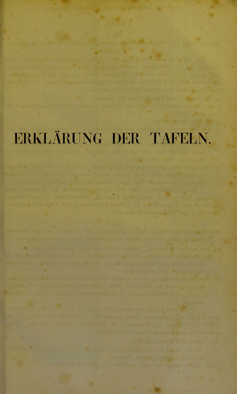 ERKLÄRUNG DER TAFELN.