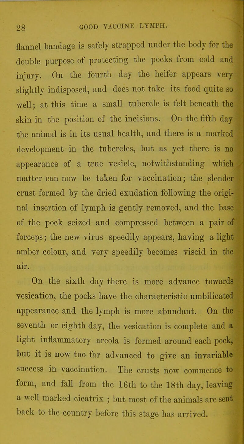 flannel bandage is safely strapped under the body for the double purpose of protecting the pocks from cold and injury. On the fourth day the heifer appears very slightly indisposed, and does not take its food quite so well; at this time a small tubercle is felt beneath the skin in the position of the incisions. On the fifth day the animal is in its usual health, and there is a marked development in the tubercles, but as yet there is no appearance of a true vesicle, notwithstanding which matter can now be taken for vaccination; the slender crust formed by the dried exudation following the origi- nal insertion of lymph is gently removed, and the base of the pock seized and compressed between a pair of forceps; the new virus speedily appears, having a light amber colour, and very speedily becomes viscid in the air. On the sixth day there is more advance towards vesication, the pocks have the characteristic umbilicated appearance and the lymph is more abundant. On the seventh or eighth day, the vesication is complete and a light inflammatory areola is formed around each pock, but it is now too far advanced to give an invariable success in vaccination. The crusts now commence to form, and fall from the 16th to the 18th day, leaving a well marked cicatrix ; but most of the animals are sent back to the country before this stage lias arrived.