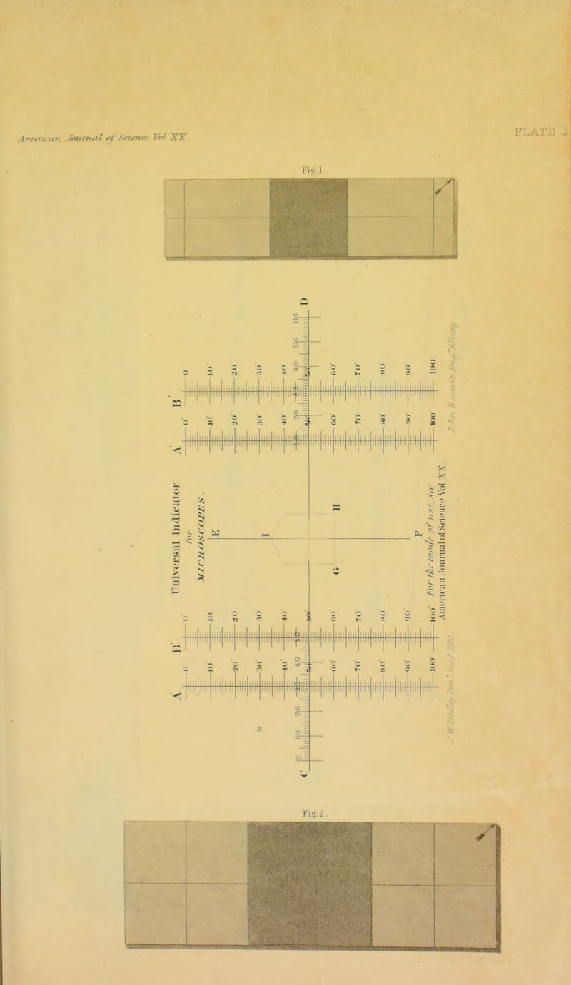 Aiiirriiuni Jourinll iif Scicniv Vl XX PLATE 1