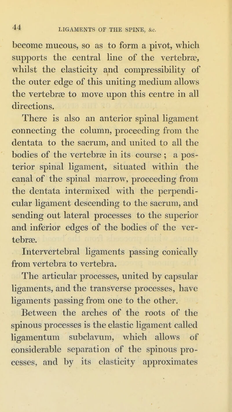 become mucous, so as to form a pivot, which supports the central line of the vertebrae, whilst the elasticity and compressibility of the outer edge of this uniting medium allows the vertebree to move upon this centre in all directions. There is also an anterior spinal ligament connecting the column, proceeding from the dentata to the sacrum, and united to all the bodies of the vertebrae in its course ; a pos- terior spinal ligament, situated within the canal of the spinal marrow, proceeding from the dentata intermixed with the perpendi- cular ligament descending to the sacrum, and sending out lateral processes to the superior and inferior edges of the bodies of the ver- tebrae. Intervertebral ligaments passing conically from vertebra to vertebra. The articular processes, united by capsular ligaments, and the transverse processes, have ligaments passing from one to the other. Between the arches of the roots of the spinous processes is the elastic ligament called ligamentum subclavum, which allows of considerable separation of the spinous pro- cesses, and by its elasticity approximates