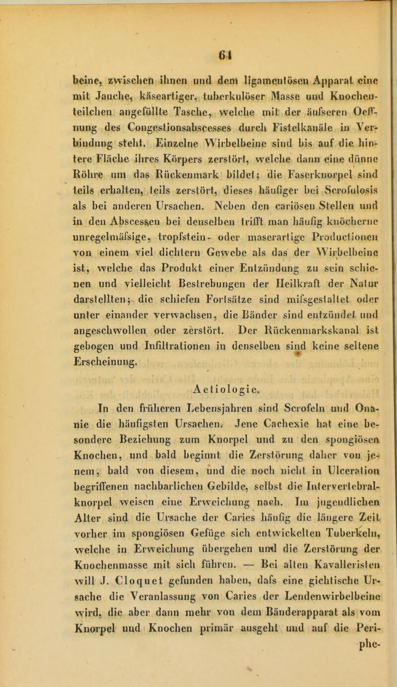 61 beine, zwischen ihnen und dem lignmenlüscu Apparat eine mit Jauclje, käscartiger, tuherkulöser Masse und Knocheii- teilclien angefüllte Tasclic, welclie mit der äufseren OcP- nung des Congestionsabscesses durch Fistelkanäie in Ver- bindung steht. Einzelne Wirbelbeine sind bis auf die hin- tere Fläche ihres Körpers zerstört, welche dann eine dünne Röhre um das Rückenmark bildcl; die Fascrknorpel sind teils erhalten, teils zerstört, dieses h.äufiger bei Scrofulosia als bei anderen Ursachen. Neben den cariösen Stellen und in den Abscess^en bei denselben triJOft man häufig knöcherne unregclniäfsige, tropfstein- oder mascrartigc Productioneu von einem viel dichtem Gewebe als das der Wirbelbeinc ist, welche das Produkt einer Entzündung zu sein schie- nen und vielleicht Bestrebungen der Heilkraft der Nalur darstellten; die schiefen Fortsätze sind mifsgeslaltet oder unter einander verwachsen, die Länder sind entzündet und augeschwollen oder zerstört. Der Rückenniarkskanal ist gebogen und Infiltrationen in denselben sind keine seltene Erscheinung. A e t i o 10 g i e. In den früheren Lebensjahren sind Scrofeln und Ona- nie die häufigsten Ursachen. .lene Cachexie hat eine be- sondere Beziehung zum Knorpel und zu den spongiösen Knochen, und bald beginnt die Zerstörung daher von je- nem, bald von diesem, und die noch nicht in Ulceralion begriffenen nachbarlichen Gebilde, selbst die Interverlcbral- knorpel weisen eine Erweichung nach. Im jugendlichen Alter sind die Ursache der Caries häufig die längere Zeit vorher im spongiösen Gefüge sich entwickelten Tuberkeln, welche in Erweichung übergehen uinl die Zerstörung der Knochenmasse mit sich führen. — Bei alten Kavalleristen ■will J. Cloquet gefunden haben, dafs eine gichtische Ur- sache die Veranlassung von Caries der Lendenwirbel beine wird, die aber dann mehr von dem Bänderapparat als vom Knorpel und Knochen primär ausgehl und auf die Peri- phc-