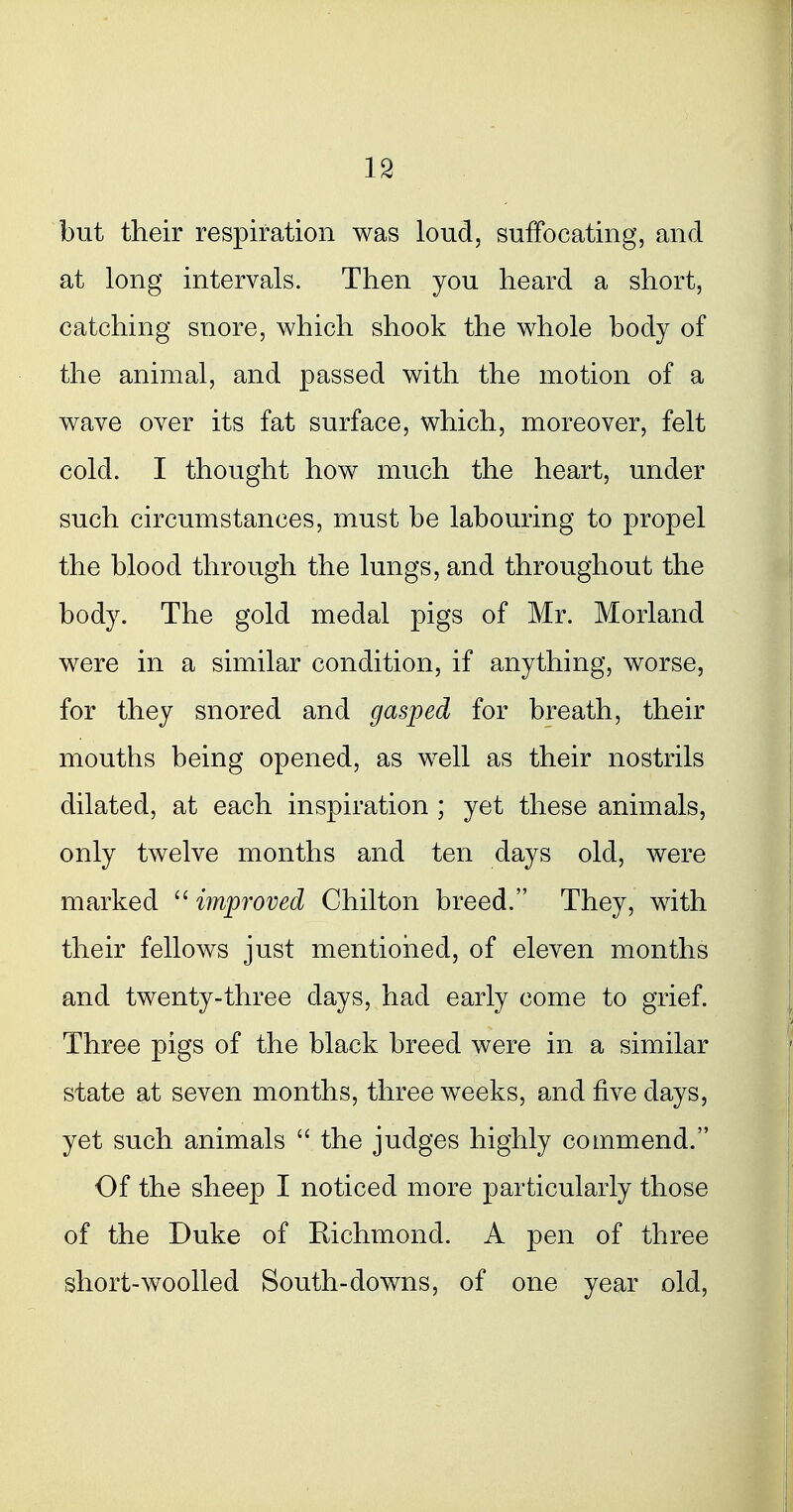 but their respiration was loud, suffocating, and at long intervals. Then you heard a short, catching snore, which shook the whole body of the animal, and passed with the motion of a wave over its fat surface, which, moreover, felt cold. I thought how much the heart, under such circumstances, must be labouring to propel the blood through the lungs, and throughout the body. The gold medal pigs of Mr. Morland were in a similar condition, if anything, worse, for they snored and gasped for breath, their mouths being opened, as well as their nostrils dilated, at each inspiration ; yet these animals, only twelve months and ten days old, were marked  improved Chilton breed. They, with their fellows just mentioiied, of eleven months and twenty-three days, had early come to grief Three pigs of the black breed were in a similar state at seven months, three weeks, and five days, yet such animals  the judges highly commend. Of the sheep I noticed more particularly those of the Duke of Richmond. A pen of three short-woolled South-downs, of one year old.