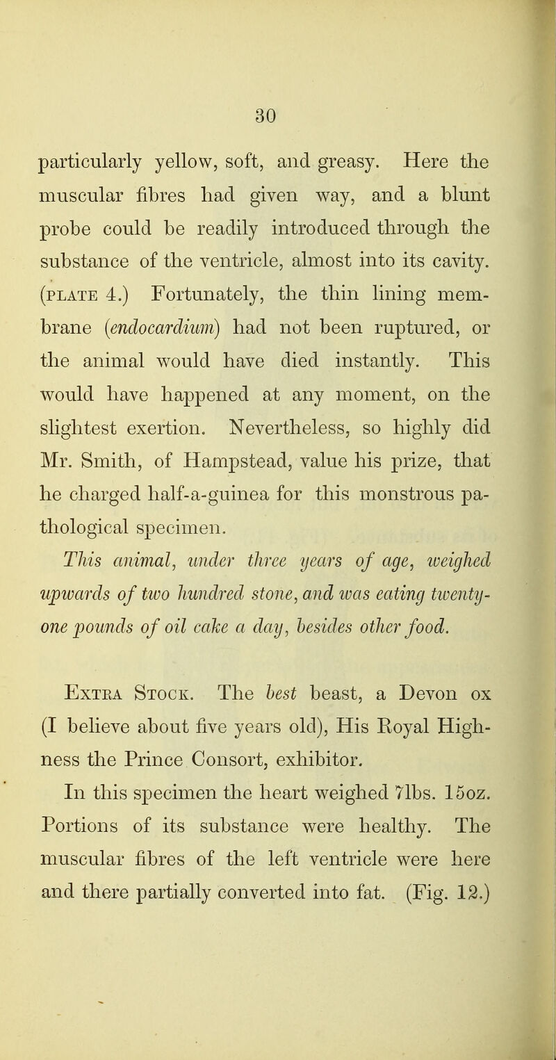 particularly yellow, soft, and greasy. Here the muscular fibres had given way, and a blunt probe could be readily introduced through the substance of the ventricle, almost into its cavity. (plate 4.) Fortunately, the thin lining mem- brane (endocardium) had not been ruptured, or the animal would have died instantly. This would have happened at any moment, on the slightest exertion. Nevertheless, so highly did Mr. Smith, of Hampstead, value his prize, that he charged half-a-guinea for this monstrous pa- thological specimen. This animal, under three years of age, lueighed upwards of two hundred stone, and ivas eating twenty- one pounds of oil cahe a day, besides other food. ExTEA Stock. The best beast, a Devon ox (I believe about five years old). His Royal High- ness the Prince Consort, exhibitor. In this specimen the heart weighed 71bs. 15oz. Portions of its substance were healthy. The muscular fibres of the left ventricle were here and there partially converted into fat. (Fig. 12.)