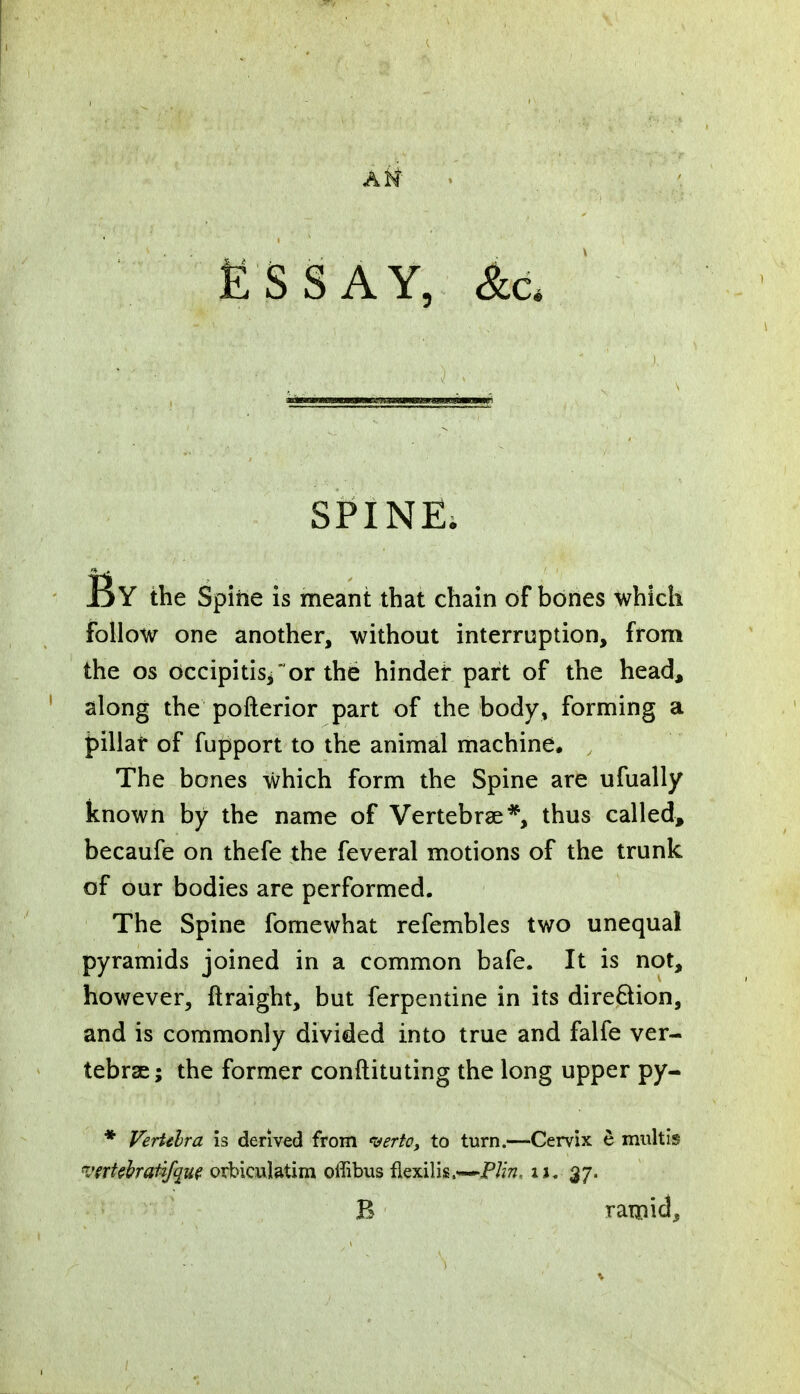 Ati 7 ESSAY, &a SPINE; IjY the Spine is meant that chain of bones which follow one another, without interruption, from the os occipitisi~or the hinder part of the head, along the pofterior part of the body, forming a jpillar of fupport to the animal machine* , The bones which form the Spine are ufually known by the name of Vertebrae*, thus called, becaufe on thefe the feveral motions of the trunk of our bodies are performed. The Spine fomewhat refembles two unequal pyramids joined in a common bafe. It is not, however, ftraight, but ferpentine in its direction, and is commonly divided into true and falfe ver- tebrae ; the former conftituting the long upper py- * Vertebra is derived from <&erto, to turn.—Cervix e multis ~'(rtebratifque orbiculatim offibus flexilis,—P//w, i j. 37. B ramiclj