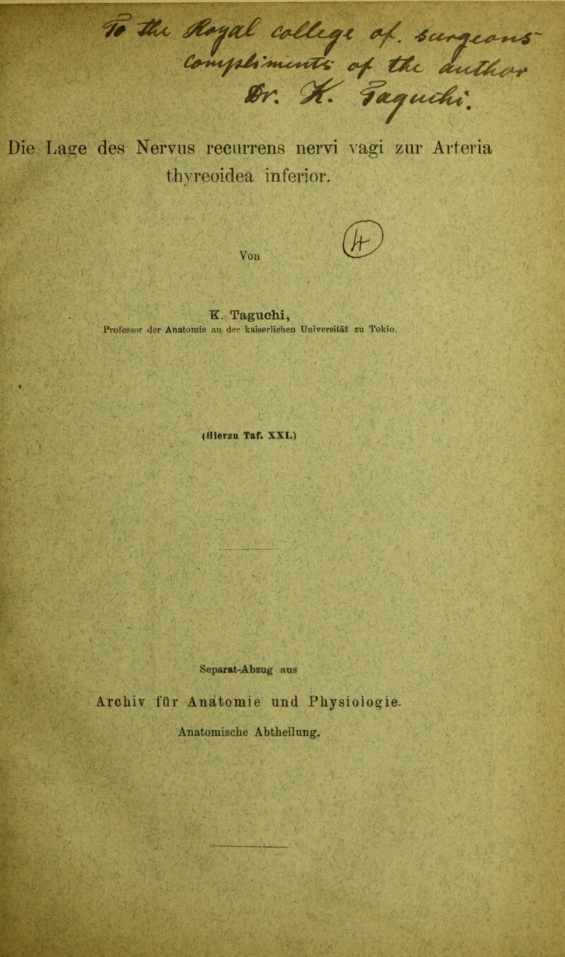 Die Lage des Nervus recurrens nervi vagi zur Arteria thyreoidea inferior. Vou K. Taguehi, Professor der Anatomie an de:- kaiserlichen Universität zu Tokio. (Hierzu Taf. XXI.) Separat-Abzug aus Archiv für Anatomie und Physiologie. Anatomische Abtheilung.