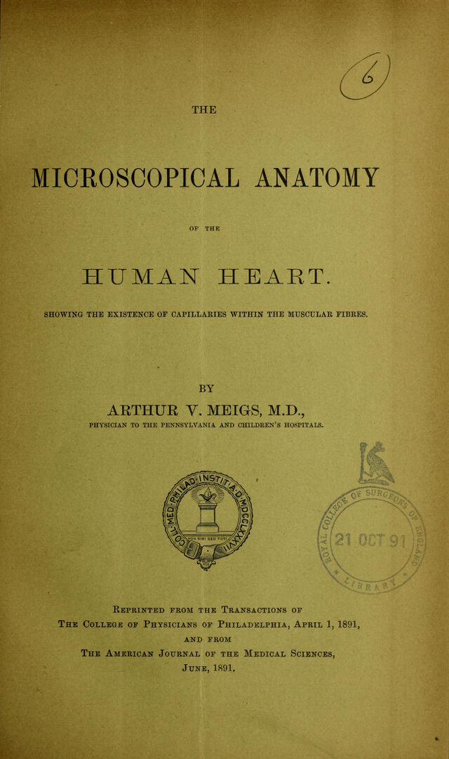 digitised image 1