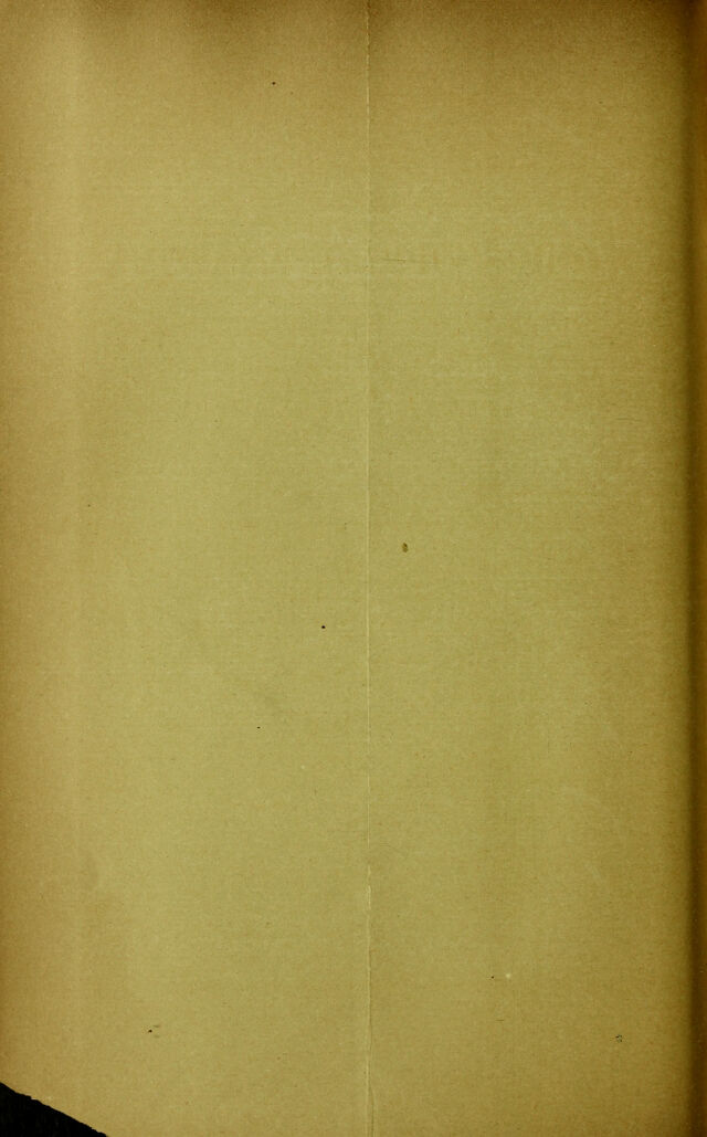digitised image 2