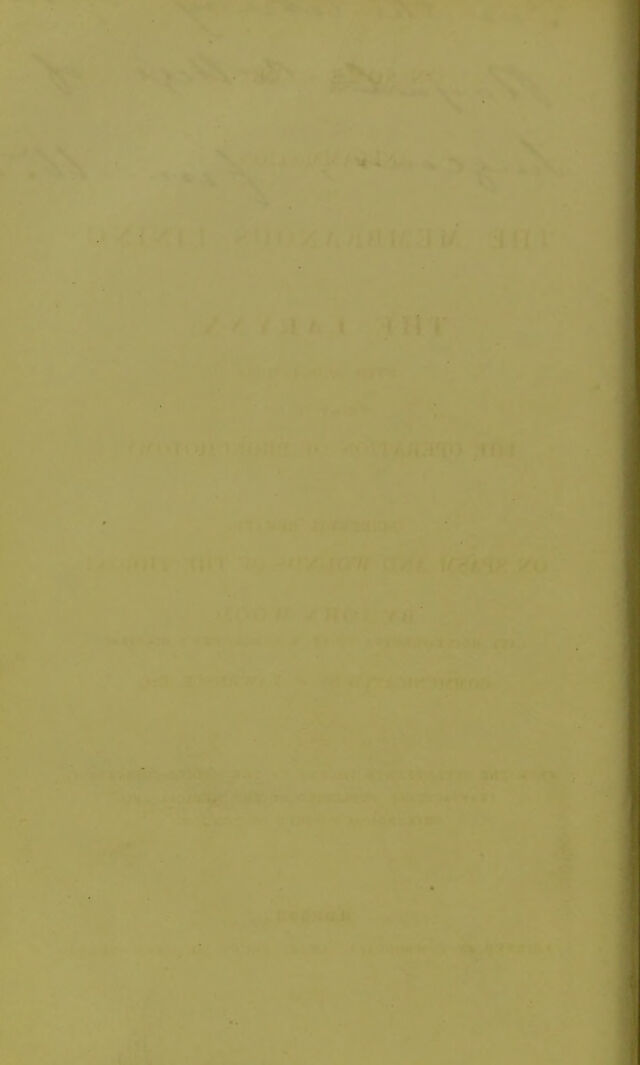 digitised image 2
