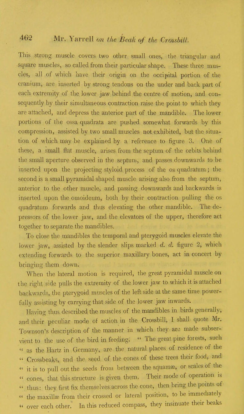 This strong muscle covers two other small ones, the triangular and square muscles, so called from their particular shape. These three mus- cles, all of which have their origin on the occipital portion of the cranium, are inserted by strong tendons on the under and back part of each extremity of the lower jaw behind the centre of motion, and con- sequently by their simultaneous contraction raise the point to which they are attached, and depress the anterior part of the mandible. The lower portions of the ossa quadrata are pushed somewhat forwards by this compression, assisted by two small muscles not exhibited, but the situa- tion of which may be explained by a reference to figure 3. One of these, a small flat muscle, arises from the septum of the orbits behind the small aperture observed in the septum, and passes downwards to l)e inserted upon the projecting styloid process of the os quadratum; the second is a small pyramidal shaped muscle arising also from the septum, anterior to the other muscle, and passing downwards and backwards is inserted upon the omoideum, both by their contraction pulling the os quadratum forwards and thus elevating the other mandible. The de- pressors of the lower jaw, and the elevators of the upper, therefore act together to separate the mandibles. To close the mandibles the temporal and pterygoid muscles elevate the lower jaw, assisted by the slender slips marked d. d. figure 2, which extending forwards to the superior maxillary bones, act in concert by briuffine; them down. When the lateral motion is required, the great pyramidal muscle on the riglit side pulls the extremity of the lower jaw to which it is attached backwards, the pterygoid muscles of the left side at the same time power- fully assisting by carrying that side of the lower jaw inwards. Havino- thus described the muscles of the mandibles in birds generally, and their peculiar mode of actiori in the Crossbill, I shall quote Mr. Townson's description of the manner in which they are made subser- vient to the use of the bird in feeding.  The great pine forests, such « as the Hartz in Germany, are the natural places of residence of the  Crossbeaks,, and the seed of the cones of these trees their food, and  it is to pull out the seeds froiu between the squamse, or scales of the  cones, that this structure is given them. Their mode of operation is  thus: they first fix themselves across the cone, then bring the points of  ihe maxillae, from their crossed or lateral position, to be immediately » over each other.' In this reduced compass, they insinuate their beaks