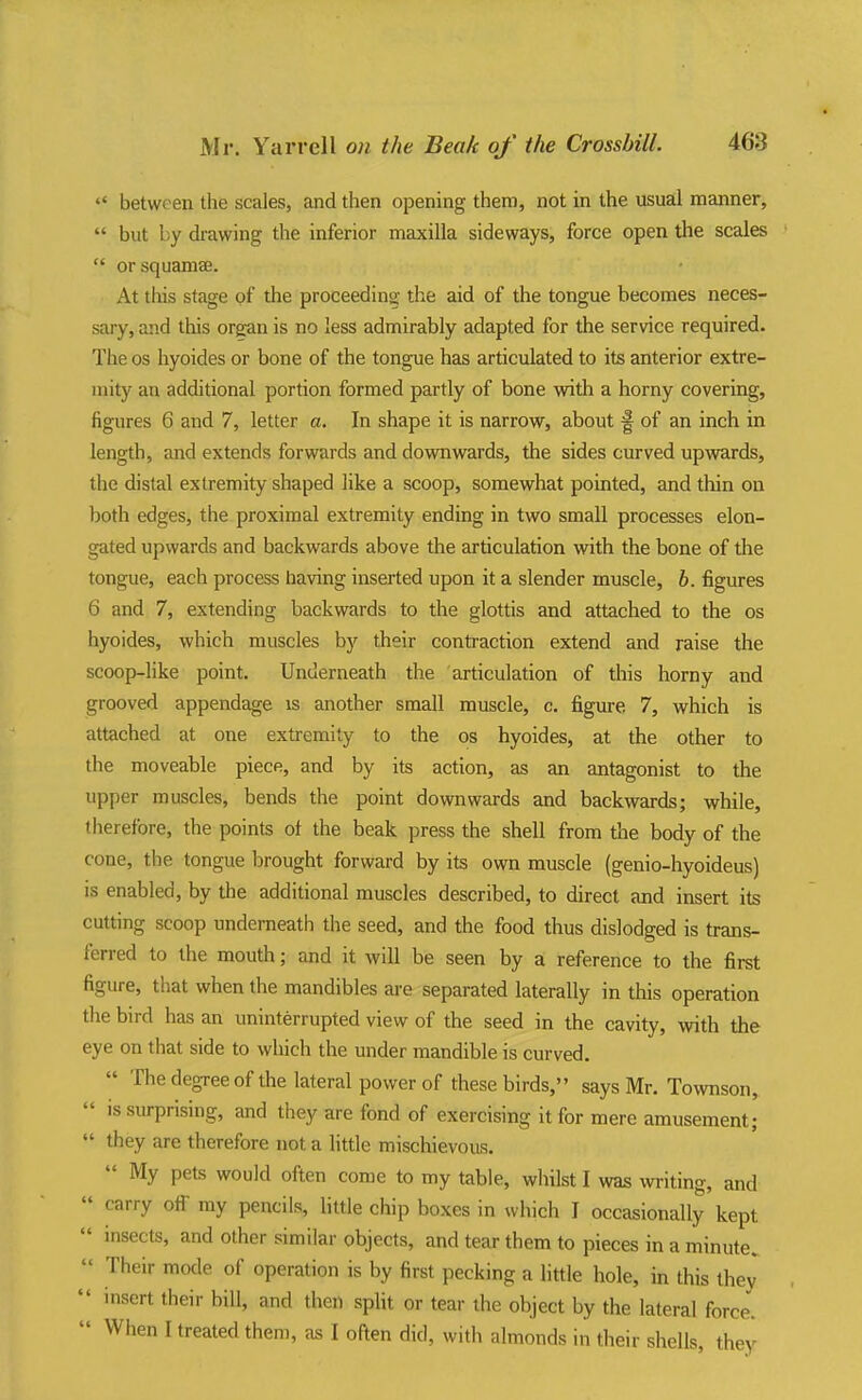 «* between the scales, and then opening them, not in the usual manner,  but by di-awing the inferior maxilla sideways, force open the scales  or squamae. At this stage of the proceeding the aid of the tongue becomes neces- sary, and this organ is no less admirably adapted for the service required. The OS hyoides or bone of the tongue has articulated to its anterior extre- mity an additional portion formed partly of bone with a horny covering, figures 6 and 7, letter a. In shape it is narrow, about f of an inch in length, and extends forwards and downwards, the sides curved upwards, the distal extremity shaped like a scoop, somewhat pointed, and thin on both edges, the proximal extremity ending in two small processes elon- gated upwards and backwards above the articulation with the bone of the tongue, each process having inserted upon it a slender muscle, b. figures 6 and 7, extending backwards to the glottis and attached to the os hyoides, which muscles by their contraction extend and raise the scoop-like point. Underneath the articulation of this horny and grooved appendage is another small muscle, c. figure 7, which is attached at one extremity to the os hyoides, at the other to the moveable piece, and by its action, as an antagonist to the upper muscles, bends the point downwards and backwards; while, therefore, the points ot the beak press the shell from the body of the cone, the tongue brought forward by its own muscle (genio-hyoideus) is enabled, by the additional muscles described, to direct and insert its cutting scoop underneath the seed, and the food thus dislodged is trans- ferred to the mouth; and it will be seen by a reference to the first figure, that when the mandibles ai-e separated laterally in this operation tlie bird has an uninterrupted view of the seed in the cavity, with the eye on that side to which the under mandible is curved.  The degree of the lateral power of these birds, says Mr. Townson,  is surprising, and they are fond of exercising it for mere amusement;  they are therefore not a little mischievous.  My pets would often come to my table, whilst I was writing, and  carry olT my pencils, little chip boxes in which I occasionally kept  insects, and other similar objects, and tear them to pieces in a minute.  Their mode of operation is by first pecking a little hole, in this they  insert their bill, and then split or tear the object by the lateral force'.  When I treated them, as I often did, with almonds in their shells, they