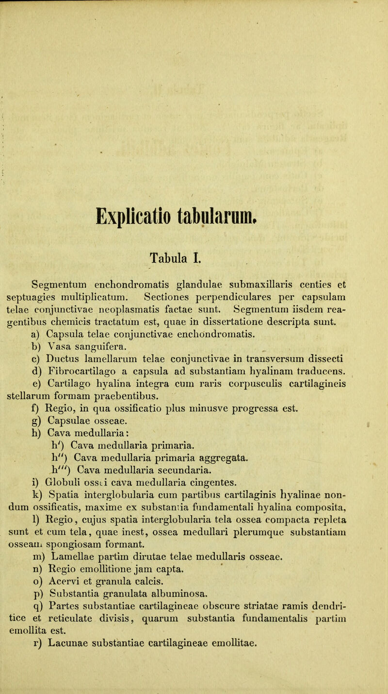 Explicatio tabularum. Tabula I. Segmentum enehondromatis glandulae submaxillaris centies et septuagies multiplicatum. Sectiones perpendiculares per capsulam telae conjunctivae neoplasmatis factae sunt. Segmentum iisdem rea- gentibus chemicis tractatum est, quae in dissertatione descripta sunt. a) Capsula telae conjunctivae enchondromatis. b) Vasa sanguifera. c) Ductus lamellarum telae conjunctivae in transversum dissecti d) Fibrocartilago a capsula ad substantiam hyalinam traducens. e) Cartilago hyalina integra cum raris corpusculis cartilagineis stellarum formam praebentibus. f) Regio, in qua ossificatio plus minusve progressa est. g) Capsulae osseae. h) Cava medullaria: h') Cava medullaria primaria. h) Cava medullaria primaria aggregata. h') Cava medullaria secundaria. i) Globuli ossti cava medullaria cingentes. k) Spatia interglobularia cum partibus cartilaginis hyalinae non- dum ossificatis, maxime ex substamia fundamentali hyalina composita, 1) Regio, cujus spatia interglobularia tela ossea compacta repleta sunt et cum tela, quae inest, ossea medullari plerumque substantiam osseatn spongiosam formant. m) Lamellae partim dirutae telae medullaris osseae. n) Regio emollitione jam capta. o) Acervi et granula calcis. p) Substantia granulata albuminosa. q) Partes substantiae cartilagineae obscure striatae ramis dendri- tice et reticulate divisis, quarum substantia fundamentalis partim emollita est. r) Lacunae substantiae cartilagineae emollitae.