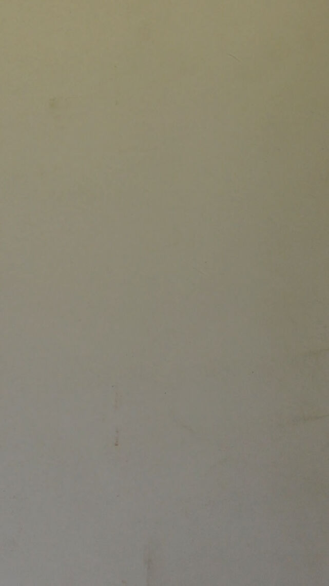 digitised image 2