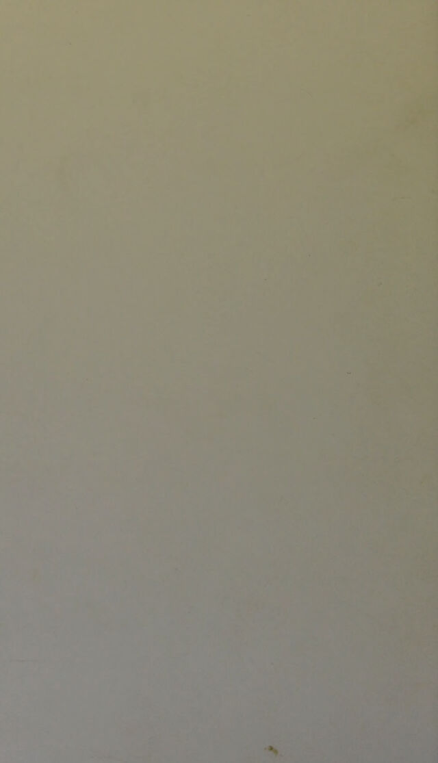 digitised image 2