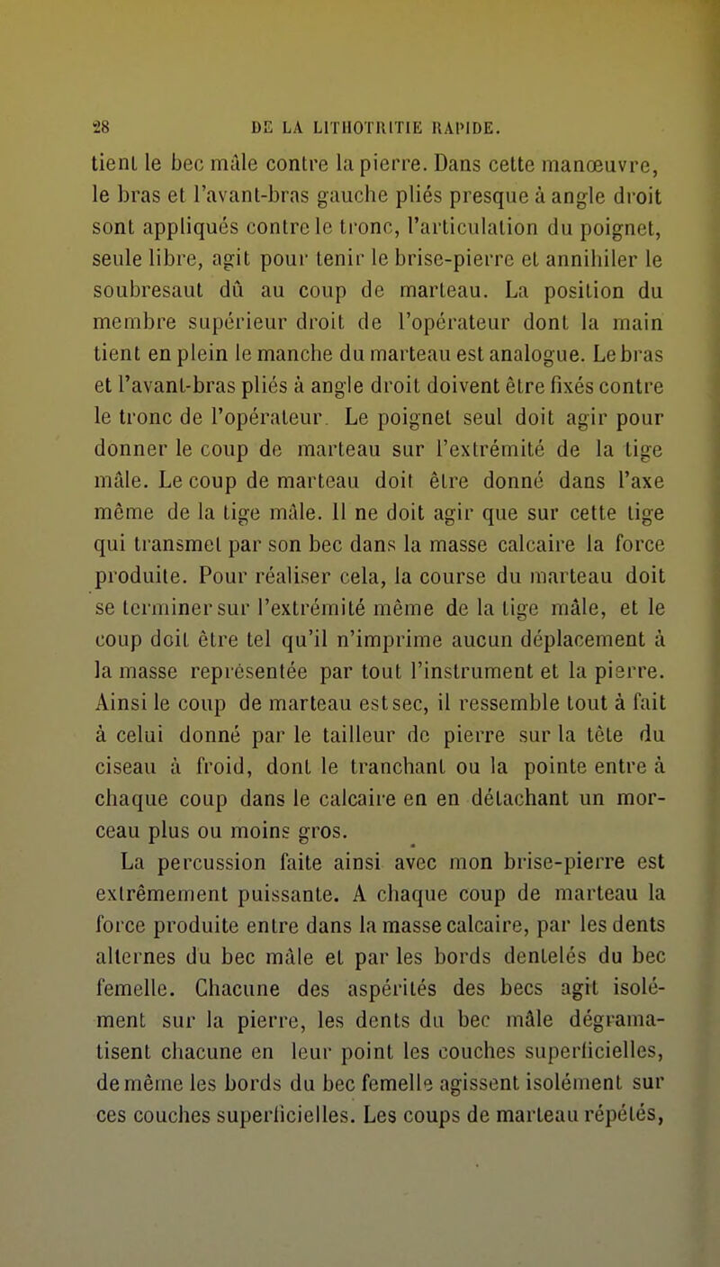 tient le bec mâle contre la pierre. Dans cette manœuvre, le bras et l'avant-bras gauche pliés presque à angle droit sont appliqués contre le tronc, l'articulation du poignet, seule libre, agit pour tenir le brise-pierre et annihiler le soubresaut dû au coup de marteau. La position du membre supérieur droit de l'opérateur dont la main tient en plein le manche du marteau est analogue. Le bras et l'avant-bras pliés à angle droit doivent être fixés contre le tronc de l'opérateur. Le poignet seul doit agir pour donner le coup de marteau sur l'extrémité de la tige mâle. Le coup de marteau doit être donné dans l'axe môme de la tige mâle. Il ne doit agir que sur cette tige qui transmet par son bec dans la masse calcaire la force produite. Pour réaliser cela, la course du marteau doit se terminer sur l'extrémité même de la tige mâle, et le coup doit être tel qu'il n'imprime aucun déplacement à la masse représentée par tout l'instrument et la pierre. Ainsi le coup de marteau est sec, il ressemble tout à fait à celui donné par le tailleur de pierre sur la tête du ciseau à froid, dont le tranchant ou la pointe entre à chaque coup dans le calcaire en en détachant un mor- ceau plus ou moins gros. La percussion faite ainsi avec mon brise-pierre est extrêmement puissante. A chaque coup de marteau la force produite entre dans la masse calcaire, par les dents alternes du bec mâle et par les bords dentelés du bec femelle. Chacune des aspérités des becs agit isolé- ment sur la pierre, les dents du bec mâle dégrama- tisent chacune en leur point les couches superlicielles, de même les bords du bec femelle agissent isolément sur ces couches superlicielles. Les coups de marteau répétés,