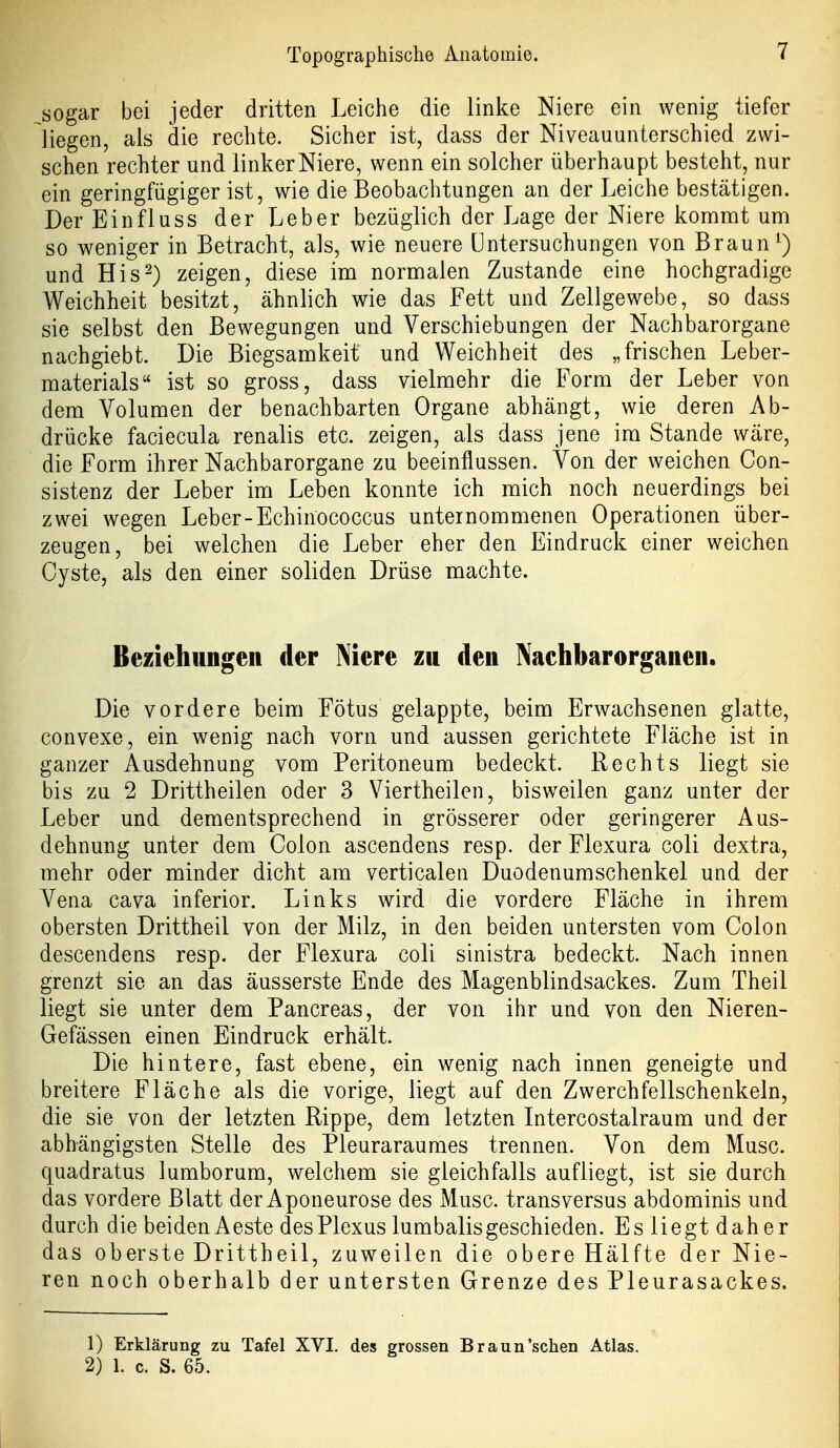 ^sogar bei jeder dritten Leiche die linke Niere ein wenig tiefer liegen, als die rechte. Sicher ist, dass der Niveauunterschied zwi- schen rechter und linker Niere, wenn ein solcher überhaupt besteht, nur ein geringfügiger ist, wie die Beobachtungen an der Leiche bestätigen. Der Einfluss der Leber bezüglich der Lage der Niere kommt um so weniger in Betracht, als, wie neuere Untersuchungen von Braun ^) und His^) zeigen, diese im normalen Zustande eine hochgradige Weichheit besitzt, ähnlich wie das Fett und Zellgewebe, so dass sie selbst den Bewegungen und Verschiebungen der Nachbarorgane nachgiebt. Die Biegsamkeit und Weichheit des „frischen Leber- materials ist so gross, dass vielmehr die Form der Leber von dem Volumen der benachbarten Organe abhängt, wie deren Ab- drücke faciecula renalis etc. zeigen, als dass jene im Stande wäre, die Form ihrer Nachbarorgane zu beeinflussen. Von der weichen Con- sistenz der Leber im Leben konnte ich mich noch neuerdings bei zwei wegen Leber-Echinococcus unternommenen Operationen über- zeugen, bei welchen die Leber eher den Eindruck einer weichen Cyste, als den einer soliden Drüse machte. Beziehungen der Niere zu den Nachbarorganen. Die vordere beim Fötus gelappte, beim Erwachsenen glatte, convexe, ein wenig nach vorn und aussen gerichtete Fläche ist in ganzer Ausdehnung vom Peritoneum bedeckt. Rechts liegt sie bis zu 2 Drittheilen oder 3 Viertheilen, bisweilen ganz unter der Leber und dementsprechend in grösserer oder geringerer Aus- dehnung unter dem Colon ascendens resp. der Flexura coli dextra, mehr oder minder dicht am verticalen Duodenumschenkel und der Vena cava inferior. Links wird die vordere Fläche in ihrem obersten Drittheil von der Milz, in den beiden untersten vom Colon descendens resp. der Flexura coli sinistra bedeckt. Nach innen grenzt sie an das äusserste Ende des Magenblindsackes. Zum Theil liegt sie unter dem Pancreas, der von ihr und von den Nieren- Gefässen einen Eindruck erhält. Die hintere, fast ebene, ein wenig nach innen geneigte und breitere Fläche als die vorige, liegt auf den Zwerchfellschenkeln, die sie von der letzten Rippe, dem letzten Intercostalraum und der abhängigsten Stelle des Pleuraraumes trennen. Von dem Muse, quadratus lumborum, welchem sie gleichfalls aufliegt, ist sie durch das vordere Blatt der Aponeurose des Muse, transversus abdominis und durch die beiden Aeste des Plexus lumbalis geschieden. Es liegt daher das oberste Drittheil, zuweilen die obere Hälfte der Nie- ren noch oberhalb der untersten Grenze des Pleurasackes. 1) Erklärung zu Tafel XVI. des grossen Braun'sehen Atlas. 2) 1. c. S. 65.