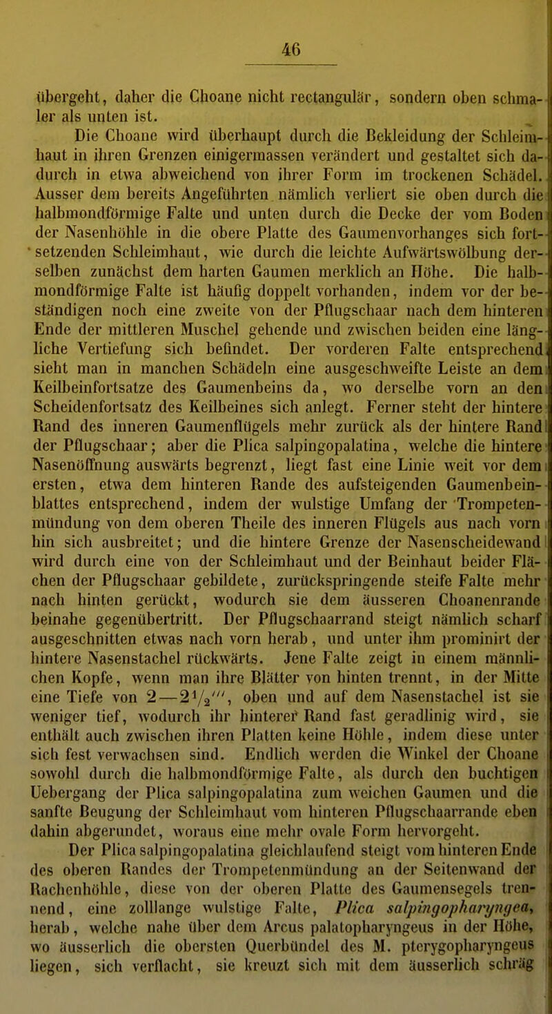 vbergeht, daher die Choane nicht rectaiigulär, sondern oben schma- ler als unten ist. Die Choane wird überhaupt durch die Bekleidung der Schleim- haut in ihren Grenzen einigermassen verändert und gestaltet sich da- ^ durch in etwa abweichend von ihrer Form im trockenen Schädel. Ausser dem bereits Angeführten nämlich verliert sie oben durch diei halbmondförmige Falte und unten durch die Decke der vom Boden der Nasenhöhle in die obere Platte des Gaumenvorhanges sich fort- • setzenden Schleimhaut, wie durch die leichte Aufwärtswölbung der- selben zunächst dem harten Gaumen merklich an Höhe. Die halb- mondförmige Falte ist häufig doppelt vorhanden, indem vor der be- ständigen noch eine zweite von der Pflugschaar nach dem hinteren Ende der mittleren Muschel gehende und zwischen beiden eine läng-- Hebe Vertiefung sich befindet. Der vorderen Falte entsprechend sieht man in manchen Schädeln eine ausgeschweifte Leiste an demi Keilbeinfortsatze des Gaumenbeins da, wo derselbe vorn an dem Scheidenfortsatz des Keilbeines sich anlegt. Ferner steht der hintere; Rand des inneren Gaumenflügels mehr zurück als der hintere Randl der Pflugschaar; aber die Plica salpingopalatina, welche die hintere i Nasenöffnung auswärts begrenzt, liegt fast eine Linie weit vor dem i ersten, etwa dem hinteren Rande des aufsteigenden Gaumenbein-- blattes entsprechend, indem der wulstige Umfang der Trompeten- - mündung von dem oberen Theile des inneren Flügels aus nach vorn i hin sich ausbreitet; und die hintere Grenze der Nasenscheidewandl wird durch eine von der Schleimhaut und der Beinhaut beider Flä- • eben der Pflugschaar gebildete, zurückspringende steife Falte mehr • nach hinten gerückt, wodurch sie dem äusseren Choanenrande^ beinahe gegenübertritt. Der Pflugschaarrand steigt nämüch scharf? ausgeschnitten etwas nach vorn herab, und unter ihm prominirt der hintere Nasenstachel rückwärts. Jene Falte zeigt in einem männli- chen Kopfe, wenn man ihre Blätter von hinten trennt, in der Mitte eine Tiefe von 2—2^1^', oben und auf dem Nasenstachel ist sie weniger tief, wodurch ihr hinterei* Rand fast geradlinig wird, sie enthält auch zwischen ihren Platten keine Höhle, indem diese unter • sich fest verwachsen sind. Endhch werden die Winkel der Choane sowohl durch die halbmondförmige Falte, als durch den buchtigen Uebergang der Plica salpingopalatina zum weichen Gaumen und die sanfte Beugung der Schleimhaut vom hinteren Pflugschaarrande eben dahin abgerundet, woraus eine mehr ovale Form hervorgeht. Der Plica salpingopalatina gleichlaufend steigt vom hinteren Ende des oberen Randes der Trompetenmündung an der Seitenwand der Rachenhöhle, diese von der oberen Platte des Gaumensegels tren- nend, eine zolllange wulstige Falte, Plica salpingopharyngea, herab, welche nahe über dem Arcus palatopharyngeus in der Höhe, wo äusserlich die obersten Querbündel des M. ptcrygopharyngeus liegen, sich verflacht, sie kreuzt sich mit dem äusserlich schräg