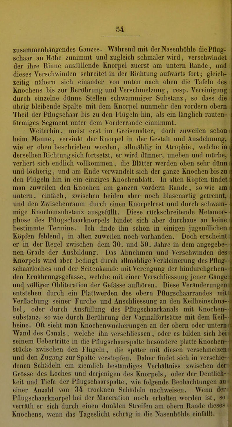 zusammenhängendes Ganzes. Während mit der Nasenhöhle die Pflug- schaar an Höhe zunimmt und zugleich schmaler wird, verschwindet der ihre Rinne ausfüllende Knorpel zuerst am untern Rande, und dieses Verschwinden schreitet in der Richtung aufwärts fort; gleich- zeitig nähern sich einander von unten nach ohen die Tafeln des Knochens bis zur Berührung und Verschmelzung, resp. Vereinigung' durch einzelne dünne Stellen schwammiger Substanz, so dass die übrig bleibende Spalte mit dem Knorpel nunmehr den vordem obem. Theil der Pflugschaar bis zu den Flügeln hin, als ein länglich rauten- förmiges Segment unter dem Vorderrande einnimmt. Weiterhin, meist erst im Greisenalter, doch zuweilen schoni beim Manne, versinkt der Knorpel in der Gestalt und Ausdehnung, wie er oben beschrieben worden, allniählig in Atrophie, welche in( derselben Richtung sich fortsetzt, er wird dünner, uneben und mürbe, verliert sich endlich vollkommen, die Blätter werden oben sehr dünni und löcherig, und am Ende verwandelt sich der ganze Knochen bis zu i den Flügeln hin in ein einziges Knochenblatt. In alten Köpfen findet: man zuweilen den Knochen am ganzen vordem Rande, so wie am i untern, einfach, zwischen beiden aber noch blasenartig getrennt,, und den Zwischenraum durch einen Knorpelrest und durch schwam- • mige Knochensubstanz ausgefüllt. Diese rückschreitende Metamor-- phose des PQugschaarknorpels bindet sich aber durchaus an keine; bestimmte Termine. Ich finde ihn schon in einigen jugendhclieni Köpfen fehlend, in alten zuweilen noch vorhanden. Doch erscheintt er in der Regel zwischen dem 30. und 50. Jahre in dem angegebe-- nen Grade der Ausbildung. Das Abnehmen und Verschwinden desi Knorpels wird aber bedingt durch allmähUge Verkleinerung des Pflug-- Schaarloches und der Seitenkanäle mit Verengung der hindurchgehen-- den Ernährungsgefässe, welche mit einer Verschliessung jener Gänge: uncj völliger Obliteration der Gefässe aufhören. Diese Veränderungen] entstehen durch ein Plattwerden des obern Pflugschaarrandes miti Verflachung seiner Furche und Anschliessung an den Keilbeinschna-- bel, oder durch Ausfüllung des Pflugschaarkanals mit Knochen— Substanz, so wie durch Berührung der Vaginalfortsätze mit dem Keil-- beine. Oft sieht man Knochenwucherungen an der obern oder unterm Wand des Canals, welche ihn verschliessen, oder es bilden sich beii seinem Uebertritte in die Pflugschaarspalte besondere platte Knochen- stücke zwischen den Flügeln, die später mit diesen verschmelzen und den Zugang zur Spalte verstopfen. Daher findet sich in verschiei denen Schädeln ein ziemlich beständiges Verhältniss zwischen den Grösse des Loches und derjenigen des Knorpels, oder der Douthch- keit und Tiefe der Pflugschaarspalte, wie folgende Beobachtungen an einer Anzahl von 34 trocknen Schädeln nachweisen. Wenn der Pflugschaarknorpel bei der Maceration noch erhalten worden ist, so verrätli er sich durch einen dunklen Streifen am obern Rande dieses i Knochens, wenn das Tageshcht schräg in die Nasenhöhle einfällt.