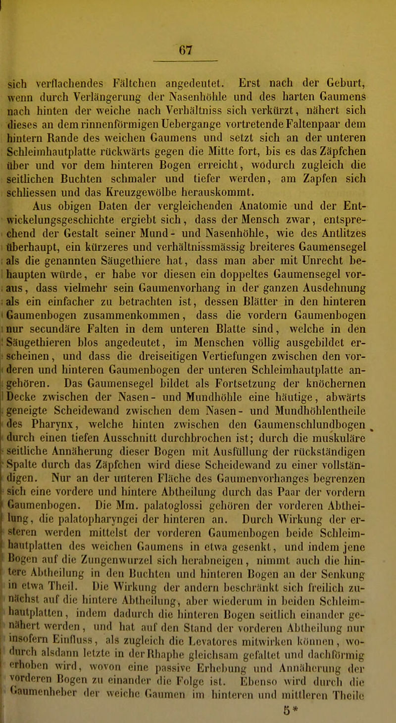 sich verflachendes Faltchcn angedeutet. Erst nach der Geburt, wenn durch Verlängerung der Nasenhölile und des harten Gaumens nach hinten der weiche nach Verhältniss sich verkürzt, nähert sich dieses an dem rinnenfürmigen Uebergange vortretende Faltenpaar dem hintern Rande des weichen Gaumens und setzt sich an der unteren Schleimhautplatte rückwärts gegen die Mitte fort, bis es das Zäpfchen über und vor dem hinteren Bogen erreicht, wodurch zugleich die seitlichen Buchten schmaler und tiefer werden, am Zapfen sich schliessen und das Kreuzgewölbe herauskommt. Aus obigen Daten der vergleichenden Anatomie und der Ent- wickelungsgeschichte ergiebt sich, dass der Mensch zwar, entspre- chend der Gestalt seiner Mund- und Nasenhöhle, wie des Antlitzes überhaupt, ein kürzeres und verhältnissmässig breiteres Gaumensegel , als die genannten Säugethiere hat, dass man aber mit Unrecht be- ■ baupten würde, er habe vor diesen ein doppeltes Gaumensegel vor- . aus, dass vielmehr sein Gaumenvorhang in der ganzen Ausdehnung ; als ein einfacher zu betrachten ist, dessen Blätter in den hinteren • Gaumenbogen zusammenkommen, dass die vordem Gaumenbogen inur secundäre Falten in dem unteren Blatte sind, welche in den 1 Säugethieren blos angedeutet, im Menschen völlig ausgebildet er- • scheinen, und dass die dreiseitigen Vertiefungen zwischen den vor- I deren und hinteren Gaumenbogen der unteren Schleimhautplatte an- gehören. Das Gaumensegel bildet als Fortsetzung der knöchernen [i Decke zwischen der Nasen - und Mundhöhle eine häutige, abwärts .geneigte Scheidewand zwischen dem Nasen- und Mundhöhlentheile ' des Pharynx, welche hinten zwischen den Gaumenschlundbogen . ' durch einen tiefen Ausschnitt durchbrochen ist; durch die muskuläre • seitliche Annäherung dieser Bogen mit Ausfüllung der rückständigen • .Spalte durch das Zäpfchen wird diese Scheidewand zu einer vollstän- digen. Nur an der unteren Fläche des Gaumenvorhanges begrenzen • sich eine vordere und hintere Abtheilung durch das Paar der vordem i Gaumenbogen. Die Mm. palatoglossi gehören der vorderen Abthei- lung, die palatopharyngci der hinteren an. Durch Wirkung der er- ■ steren werden mittelst der vorderen Gaumenbogen beide Schleim- hautplatten des weichen Gaumens in etwa gesenkt, und indem jene Bogen auf die Zungcnwurzel sich herabneigen, nimmt auch die hin- tere Abthciiung in den Buchten und hinteren Bogen an der Senkung in etwa Theii. Die Wirkung der andern beschränkt sich freihch zu- t' nächst auf die hintere Abtheilung, aber wiederum in beiden Schleim- hautplattcn, indem dadurcli die hinteren Bogen seitlich einander ge- i nähert werden, und hat auf den Stand der vorderen Abtlieilung nur [• insofern Einfluss, als zugleich die Levatores mitwirken können, wo- ! durch alsdann letzte in dcrRliaphe gleichsam gefaltet und dachförmig erhoben wird, wovon eine passive Erhebung und Annäherung der vorderen Bogen zu einander die Folge ist. Ebenso wird durch die ■ Gaumenheber der weiche Gaumen im hinteren und mittleren Theilc 5*