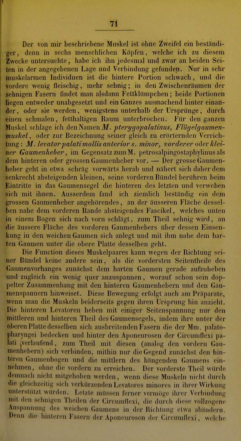 Der von mir beschriebene Muskel ist ohne Zweifel ein besUindi- 1 ger, denn in sechs menschlichen Köpfen, welche ich zu diesem Zwecke untersuchte, habe ich ihn jedesmal und zwar an beiden Sei- ten in der angegebenen Lage und Verbindung gefunden. Nur in sehr muskelarmen Individuen ist die hintere Portion schwach, und die ▼ordere wenig fleischig, mehr sehnig; in den Zwischenräumen der sehnigen Fasern findet man alsdann Fettklümpchen; beide Portionen liegen entweder unabgesetzt und ein Ganzes ausmachend hinter einan- der , oder sie werden, wenigstens unterhalb der Ursprünge, durch einen schmalen, fetthaltigen Raum unterbrochen. Für den ganzen Muskel schlage ich den Namen M. ptej^ygopalatinus, Flügelgaumen- muskel, oder zur Bezeichnung seiner gleich zu erörternden Verrich- tung: M. levator palati VW Iiis anterior s. minor, vorderer oAqy klei- nci' Gaumenheber, im Gegensatz zum M. petrosalpingostapliylinus als dem hinteren oder grossen Gaumenheber vor. — Der grosse Gaumen- heber geht in etwa schräg vorwärts herab und nähert sich daher dem senkrecht absteigenden kleinen, seine vorderen Bündel berühren beim Eintritte in das Gaumensegel die hinteren des letzten und verweben sich mit ihnen. Ausserdem fand ich ziemlich beständig ein dem grossen Gaumenheber angehörendes, an der äusseren Fläche dessel- ben nahe dem vorderen Rande absteigendes Fascikel, welches unten in einem Bogen sich nach vorn schlägt, zum Theil sehnig wird, an die äussere Fläche des vorderen Gaumenhebers über dessen Einsen- kung in den weichen Gaumen sich anlegt und mit ihm nahe dem har- ff-n Gaumen unter die obere Platte desselben geht. Die Function dieses Muskelpaares kann wegen der Richtung sei- ner Bündel keine andere sein, als die vordersten Seitcntheilc des Gaumenvorhanges zunächst dem harten Gaumen gerade aufzuheben und zugleich ein wenig quer anzuspannen, worauf schon sein dop- pelter Zusammenbang mit den hinteren Gaumenhebern und den Gau- menspannern hinweiset. Diese Bewegung erfolgt auch am Präparate, wenn man die Muskeln beiderseits gegen ihren Ursprung hin anzieht. Die hinteren Levatoren heben mit einiger Scitcnspannung nur den mittleren und hinteren Theil des Gaumensegels, indem ihre unter der oberen Platte desselben sich ausbreitenden Fasern die der Mm. palato- pharyngei bedecken und hinter den Aponeurosen der Circumllcxi pa- lati jverlaufend, zum Theil mit diesen (analog den vordem Gau- menhebern) sich verbinden, mithin nur die Gegend zunächst den hin- teren Gaumenbogen und die mittlem des hängenden Gaumens ein- nehmen, ohne die vordem zu erreichen. Der vorderste Theil würde demnach niclit mitgehoben werden, wenn diese Muskeln nicbl durch die gleichzeitig sich verkürzenden Levatorcs minores in ihrer Wirkung unlerstillzt würden. Letzte müssen ferner vermöge iln-cr Verbindung mit den sehnigen Theilen der Circumnexi, die durch diese vollzctgene Anspannung des weichen Gaumens in der Bichtung etwa abändern. Denn di.« hinteren Fasern der Aponeurosen der Circumllexi, weU'in^