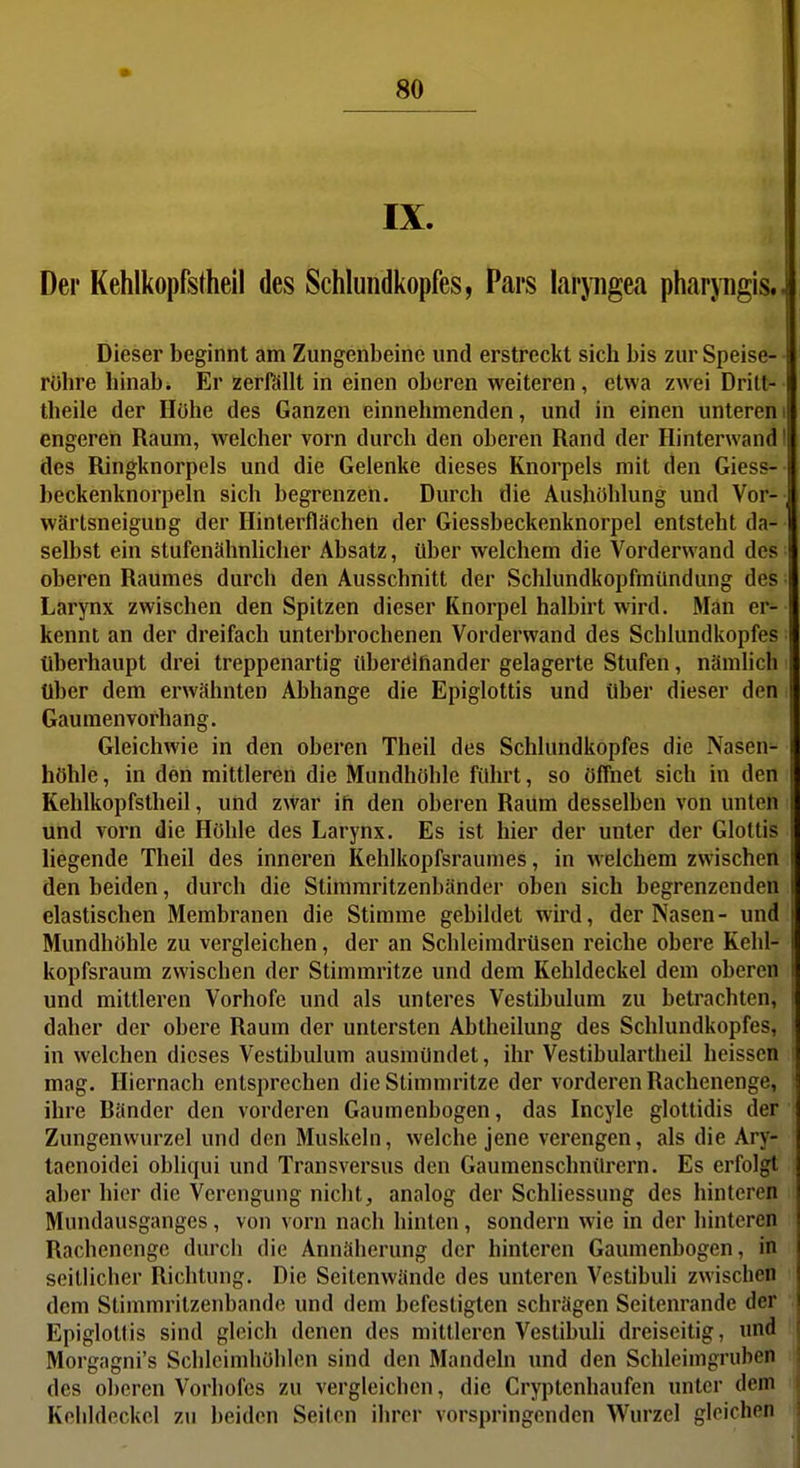 IX. Der Kehlkopfstheil des Schlundkopfes, Pars laryiigea pharjugis. Dieser beginnt am Zungenl)eine und erstreckt sich bis zur Speise- röhre hinab. Er zerfällt in einen oberen weiteren, etwa zwei Drilt- theile der Hübe des Ganzen einnehmenden, und in einen unterem engeren Raum, welcher vorn durch den oberen Rand der Hinterwand I des Ringknorpels und die Gelenke dieses Knorpels mit den Giess- beckenknorpeln sich begrenzen. Durch die Aushöhlung und Vor- wärtsneigung der Hinterflächen der Giessbeckenknorpel entsteht da- selbst ein stufenähnlicher Absatz, über welchem die Vorderwand des oberen Raumes durch den Ausschnitt der Schlundkopfmündung des; Larynx zwischen den Spitzen dieser Knorpel halbirt wird. Man er- kennt an der dreifach unterbrochenen Vorderwand des Schlundkopfes: überhaupt drei treppenartig übereinander gelagerte Stufen, nämlich i über dem erwähnten Abhänge die Epiglottis und über dieser den Gaumenvofhang. Gleichwie in den oberen Theil des Schlundkopfes die Nasen- höhle , in den mittleren die Mundhöhle führt, so öffnet sich in den Kehlkopfstheil, und z\Var ifi den oberen Raum desselben von unten und vorn die Höhle des Larynx. Es ist hier der unter der Glottis liegende Theil des inneren Kehlkopfsraunies, in welchem zwischen den beiden, durch die Stimmritzenbänder oben sich begrenzenden elastischen Membranen die Stimme gebildet wird, der Nasen- und Mundhöhle zu vergleichen, der an Schleimdrüsen reiche obere Kehl- kopfsraum zwischen der Stimmritze und dem Kehldeckel dem oberen und mittleren Vorhofe und als unteres Vestibulum zu betrachten, daher der obere Raum der untersten Abtheilung des Schlundkopfes, in welchen dieses Vestibulum ausmündet, ihr Vestibulartheil heisscn mag. Hiernach entsprechen die Stimmritze der vorderen Rachenenge, ihre Bänder den vorderen Gaumenbogen, das Incyle glottidis der Zungenwurzel und den Muskeln, welche jene verengen, als die Ary- taenoidei obliqui und Transversus den Gaumenschnürern. Es erfolgt aber hier die Verengung nicht, analog der Schliessung des hinteren Mundausganges, von vorn nach hinten, sondern wie in der hinteren Rachenenge durch die Annäherung der hinteren Gaumenbogen, in seitlicher Richtung. Die Seitenwände des unteren Vestibuli zwischen dem Stimmritzenbande und dem befestigten schrägen Seitenrande der Epiglotlis sind gleich denen des mittleren Vestibuli dreiseitig, und Morgagni's Schlcimhöhlen sind den Mandeln und den Schleimgruben des oberen Vorhofes zu vergleichen, die Cryplenhaufen unter dem Kehldeckel zu beiden Seiten ihrer vorspringenden Wurzel gleichen