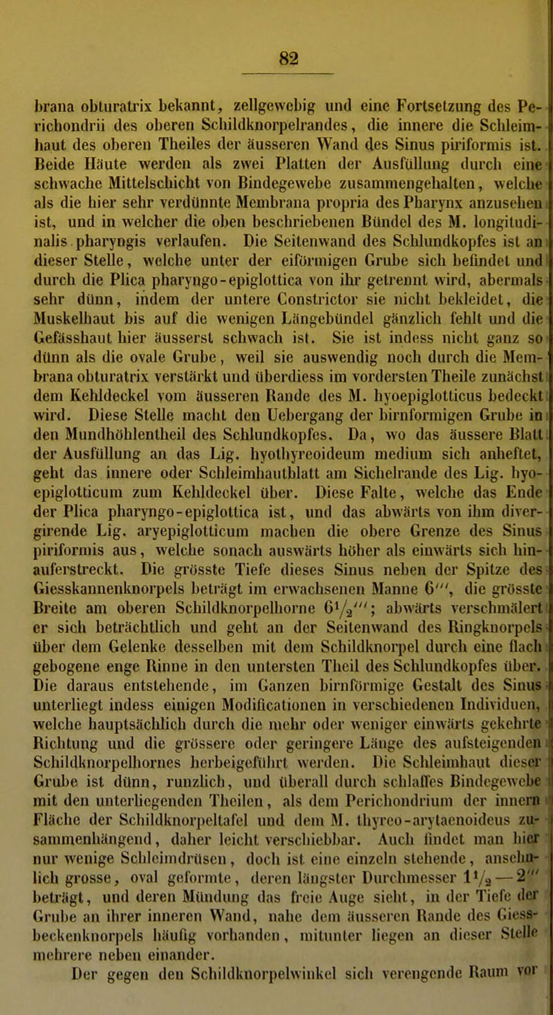 brana obturatrix bekannt, zellgevvebig und eine Fortsetzung des Pe- richondrii des oberen Scbildknorpeh'andes, die innere die Schleim-- haut des oberen Theiles der äusseren Wand des Sinus piriformis ist.. Beide Häute werden als zwei Platten der Ausfüllung durch eine schwache Mittelschicht von Bindegewebe zusammengehalten, welche als die hier sehr verdünnte Membrana propria des Pharynx anzusehen i ist, und in welcher die oben beschriebenen Bündel des M. longitudi-- nahs.pharyngis verlaufen. Die Seitenwand des Schlundkopfes ist an' dieser Stelle, welche unter der eiförmigen Grube sich befindet und durch die Phca pharyngo-epiglottica von ihr getrennt wird, abermals- sehr dünn, indem der untere Constrictor sie nicht bekleidet, die Muskelhaut bis auf die wenigen Lüngebündel gänzlich fehlt und die Gefässhaut hier äusserst schwach ist. Sie ist indess nicht ganz so dünn als die ovale Grube, weil sie auswendig noch durch die Mem- brana obturatrix verstärkt und überdiess im vordersten Theile zunächst i dem Kehldeckel vom äusseren Rande des M. hyoepiglotticus bedeckt wird. Diese Stelle macht den Uebergang der birnformigen Grube im den Mundhöhlentheil des Schlundkopfcs. Da, wo das äussere Blatt 1 der Ausfüllung an das Lig. hyolhyrcoideum medium sich anheftet, geht das innere oder Schleimhautblatt am Sichelrande des Lig. hyo- epiglotticum zum Kehldeckel über. Diese Falte, welche das Ende' der Plica pharyngo-epiglottica ist, und das abwärts von ihm diver- girende Lig. aryepiglotticum machen die obere Grenze des Sinus- piriforn)is aus, welche sonach auswärts höher als einwärts sich hin-- auferstreckt. Die grösstc Tiefe dieses Sinus neben der Spitze des- Giesskannenknorpels beträgt im erwachsenen Manne 6', die grösste- Breite am oberen Schildknorpelhorne CYa'; abwärts verschmälert! er sich beträchtlich und geht an der Seitenwand des Ringknorpels: über dem Gelenke desselben mit dem Schildknorpel durch eine flacht gebogene enge Rinne in den untersten Theil des Schlundkopfes über.. Die daraus entstehende, im Ganzen birnförmige Gestalt des Sinus; unterliegt indess einigen Modificationen in verschiedenen Individuen, welche hauptsächlich durch die mehr oder weniger einwärts gekehrte; Richtung und die grössere oder geringere Länge des aufsteigenden i Schildknorpelhornes herbeigeführt werden. Die Schleimhaut dieser Grube ist dünn, runzlich, und überall durch schlafl'es Bindcgewcbajl mit den unterliegenden Theilen, als dem Perichondrium der innerM Fläche der Schildknorpeltafel und dem M. thyreo-arylaenoideus zu* i) sammenhängend, daher leicht verschiebbar. Auch findet man hier nur wenige Schleimdrüsen, doch ist eine einzeln stehende, ansehn- lich grosse, oval geformte, deren längster Durchmesser IVa — 2' beträgt, und deren Mündung das freie Auge sieht, in der Tiefe der Grube an ihrer inneren Wand, nahe dem äusseren Rande des Giess- beckcnknorpels häufig vorhanden, mitunter liegen an dieser Stelle mehrere neben einander. Der gegen den Schildknorpelwinkcl sich verengende Raum vor