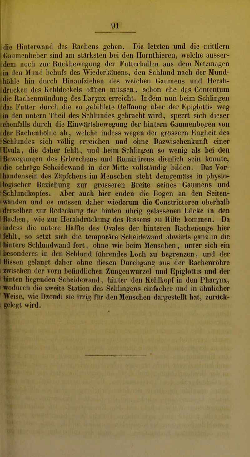 idie Hinterwand des Rachens gehen. Die letzten und die niilllern Gaumenheber sind am stärksten bei den Hornthieren, welche ausser- idem noch zur Rückbewegung der Futterballen aus dem Netzmagen I in den Mund behufs des Wiederkäuens, den Schlund nach der Mund- höhle hin durch Hinaufziehen des weichen Gaumens und Herab- idrücken des Kehldeckels öffnen müssen, schon ehe das Contentum 'die Rachenmündung des Larynx erreicht. Indem nun beim Schhngen das Futter durch die so gebildete Oeffnung über der Epiglottis weg i in den untern Theil des Schlundes gebracht wird, sperrt sich dieser I ebenfalls durch die Einwärtsbevvegung der hintern Gaumenbogen von > der Rachenhöhle ab, welche indess wegen der grössern Engheit des : Schlundes sich völlig erreichen und ohne Dazwischenkunft einer (Uvula, die daher fehlt, und beim Schlingen so wenig als bei den I Bewegimgen des Erbrechens und Ruminirens dienlich sein konnte, . die schräge Scheidewand in der Mitte vollständig bilden. Das Vor- I handensein des Zäpfchens im Menschen steht demgemäss in physio- i logischer Beziehung zur grösseren Breite seines Gaumens und ? Schlundkopfes. Aber auch hier enden die Bogen an den Seiten- twänden und es müssen daher wiederum die Gonstrictoren oberhalb I derselben zur Bedeckung der hinten übrig gelassenen Ltlcke in den IRachen, wie zur Herabdrückung des Bissens zu Hilfe kommen. Da indess die untere Hälfte des Ovales der hinteren Rachenenge hier ! fehlt, so setzt sich die temporäre Scheidewand abwärts ganz in die I hintere Schlundwand fort, ohne wie beim Menschen, unter sich ein besonderes in den Schlund führendes Loch zu begrenzen, und der I Bissen gelangt daher ohne diesen Durchgang aus der Rachenröhre . z^vischen der vom befindlichen Zungenwurzel und Epiglottis und der ' hinten liegenden Scheidewand, hinter den Kehlkopf in den Pharynx, ' wodurch die zweite Station des Schlingens einfacher und in ähnlicher ' Weise, wie Dzondi sie irrig für den Menschen dargestellt hat, zurück- gelegt wird.
