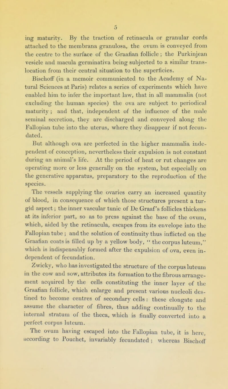 ing maturity. By the traction of retinacula or granular cords attached to the membrana granulosa, the ovum is conveyed from the centre to the surface of the Graafian follicle ; the Purkinjean vesicle and macula germinativa being subjected to a similar trans- location from their central situation to the superficies. BischofF (in a memoir communicated to the Academy of Na- tural Sciences at Paris) relates a series of experiments which have enabled him to infer the important law, that in all mammalia (not excluding the human species) the ova are subject to periodical maturity ; and that, independent of the influence of the male seminal secretion, they are discharged and conveyed along the Fallopian tube into the uterus, where they disappear if not fecun- dated. But although ova are perfected in the higher mammalia inde- pendent of conception, nevertheless their expulsion is not constant during an animal's life. At the period of heat or rut changes are operating more or less generally on the system, but especially on the generative apparatus, preparatory to the reproduction of the species. The vessels supplying the ovaries carry an increased quantity of blood, in consequence of which those structures present a tur- gid aspect; the inner vascular tunic of De Graaf's follicles thickens at its inferior part, so as to press against the base of the ovum, which, aided by the retinacula, escapes from its envelope into the Fallopian tube ; and the solution of continuity thus inflicted on the Graafian coats is filled up by a yellow body,  the corpus luteum, which is indispensably formed after the expulsion of ova, even in- dependent of fecundation. Zwicky, who has investigated the structure of the corpus luteum in the cow and sow, attributes its formation to the fibrous arrane-e- ment acquired by the cells constituting the inner layer of the Graafian follicle, which enlarge and present various nucleoH des- tined to become centres of secondary cells: these elongate and assume the character of fibres, thus adding continually to the internal stratum of the theca, which is finally converted into a perfect corpus luteum. The ovum having escaped into the Fallopian tube, it is here, according to Pouchet, invariably fecundated ; whereas Bischofl'