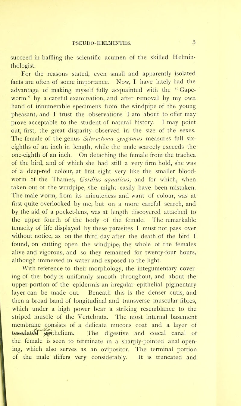 succeed in baffling tlie scientific acumen of the skilled Helmin- thologist. For the reasons stated, even small and apparently isolated facts are often of some importance. Now, I have lately had the advantage of making myself fully acquainted with the  Gape- worm  by a careful examination, and after removal by my own hand of innumerable specimens from the windpipe of the young pheasant, and I trust the observations I am about to offer may prove acceptable to the student of natural history. I may point out, first, the great disparity observed in the size of tlie sexes. The female of the genus Sderostoina syngainiis measures full six- eighths of an inch in length, while the male scarcely exceeds the one-eighth of an inch. On detaching the female from the trachea of the bird, and of which she had still a very firm hold, she was of a deep-red colour, at first sight very like the smaller blood- worm of the Thames, Gordius aquaiicus, and for which, when taken out of the windpipe, she might easily have been mistaken. The male worm, from its minuteness and want of colour, was at first quite overlooked by me, but on a more careful search, and by the aid of a pocket-lens, was at length discovered attached to the upper fourth of the body of the female. The remarkable tenacity of life displayed by these parasites I must not pass over without notice, as on the third day after the death of the bird I found, on cutting open the windpipe, the whole of the females alive and vigorous, and so they remained for twenty-four hours, although immersed in water and exposed to the light. With reference to their morphology, the integumentary cover- ing of the body is uniformly smooth throughout, and about the upper portion of the epidermis an irregular epithelial pigmentary layer can be made out. Beneath this is the denser cutis, and then a broad band of longitudinal and transverse muscular fibres, which under a high power bear a striking resemblance to the striped muscle of the Vertebrata. The most internal basement membrane consists of a delicate mucous coat and a layer of tessttiate^'^^j^helium. I'he digestive and coecal canal of the female is seen to terminate m a sharply-pointed anal open- ing, which also serves as an ovipositor. The terminal portion of the male differs very considerably. It is truncated and