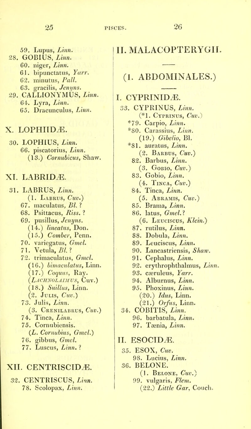 59. Lupus, Linn. 28. GOBIUS, Linn. 60. niger, Linn. 61. bipunctatus, Yurr. 62. minutus, Pall. 63. gracilis, Jenyns. 29. CALLIONYMUS, Linn. 6i. Lyra, Linn. 65. Dracunculus, Linn. X. LOPHIID.E. 30. LOPHIUS, Linn. 66. piscatorius, Linn. (13.) Cornubicus, Shaw. XI. LABRIDJ3. 31. LABRUS, Linn. (1. Labrus, Cwy.) 67. maculatus, Bl. 1 68. Psittacus, Riss. ? 69. pusillus, Jenyns. (14.) linealus, Don. (15.) Comber, Perm. 70. variegatus, Gmel. 71. Vetula, 5/. ? 72. trimaculatus, Gmel. (16.) bimaculatus, Linn. (17.) C'oquus, Ray. (Lachnolaimus, Cuv.) (18.) Suillus, Linn. (2. Julis, Cww.) 73. Julis, Linn. (3. Crenilabrus, C'wu.) 74. Tinea, iinn. 75. Cornubiensis. (Z. Cornubius, Gmel.) 76. gibbus, Gmel. 77. Luscus, Linn. 1 XII. CENTRISCIM. 32. CENTRISCUS, Zinw. 78. Scolopax, Linn. II. MALACOPTERYGII. (1. ABDOMINALES.) I. CYPRINID.E. 33. CYPRINUS, Linn. (*1. Cyprinus, Cto.) *79. Carpio, Linn. *'80. Carassius, Linn. (19.) Giie/io, Bl. *81. auratus, Linn. (2. Barbus, Cuv.) 82. Barbus, Linn. (3. Gobio, Cwi>.) 83. Gobio, Linn. (4. Tinca, Cuv.) 84. Tinca, Ziwn. (5. Abramis, Cuv.) 85. Brama, Linn. 86. latus, Gmel.1 (6. Leuciscus, Klein.) 87. rutilus, Zt'wra. 88. Dobula, Z-inn. 89. Leuciscus, Zinw. 90. Lancastriensis, Shaw. 91. Cephalus, Linn. 92. erythrophtbalmus, Linn, 93. caeruleus, Fnrr. 94. Alburnus, Zinw. 95. Phoxinus, Linn. (20.) Zefos, Linn. (21.) Or/ws, Linn. 34. COBITIS, Linn. 96. barbatula, Ziwn. 97. Taenia, Linn. II. esocid^e. 35. ESOX, Cmo. 98. Lucius, Linn. 36. BELONE. (1. Belone, Cuv.) 99. vulgaris, Flem. (22.) ZiM/e Gar, Couch,