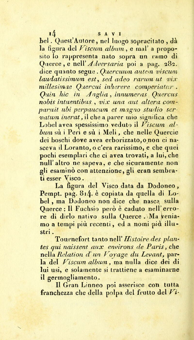 bel. Quest'Autore, nel luogo sopracitato , dà la figura del Viscum album, e mal' a propo- sito lo rappresenta nato sopra un ramo di Querce , e \\(ì]X Aihersaria poi a pag. 282. dice quanto segue . Querciiwn aatem viscwn laudatissiinum est^ sed adeo rarum ut vix mUlesimae Q^rcui inherere compeviatar . Quia hic in Anglia, innumeras Qtierciis nobis intuentibics , vix una aut altera com- pariiit ubi perpaucum et magno studio scr- vatum inerat, il che a parer mio significa che Label avea spessissimo veduto il Viscum al- bum sù i Peri e su i Meli, che nelle Quercie dei boschi dove avea erborizzato,o non ci na- sceva d Loranto, o c'era rarissimo, e che quei pochi esemplari che ci avea trovati, a lui, che nuli'altro ne sapeva, e che sicuramente non gli esaminò con attenzione, gli eran sembra- ti esser Visco. La figura del Visco data da Dodoneo, Pempt. pag. 8i4- è copiata da quella di Lo- bel , ma Bodoneo non dice che nascf\ sulla Querce: Il Fuchsio però è caduto nell'erro- re di dirlo nativo sulla Querce . Ma Venia- mo a tempi più recenti, ed a nomi ^iò. illu- stri . Tournefort tanto nell'^/\y^o/re des pian- tes qui naissent aux environs de Paris, che nella Relation d'un P^oyage da Levant, par- la del Viscum album, ma nulla dice dei di lui usi, e solamente si trattiene a esaminarne il germogliamento. Il Gran Linneo poi asserisce con tutta franchezza che della polpa del frutto del /^t-