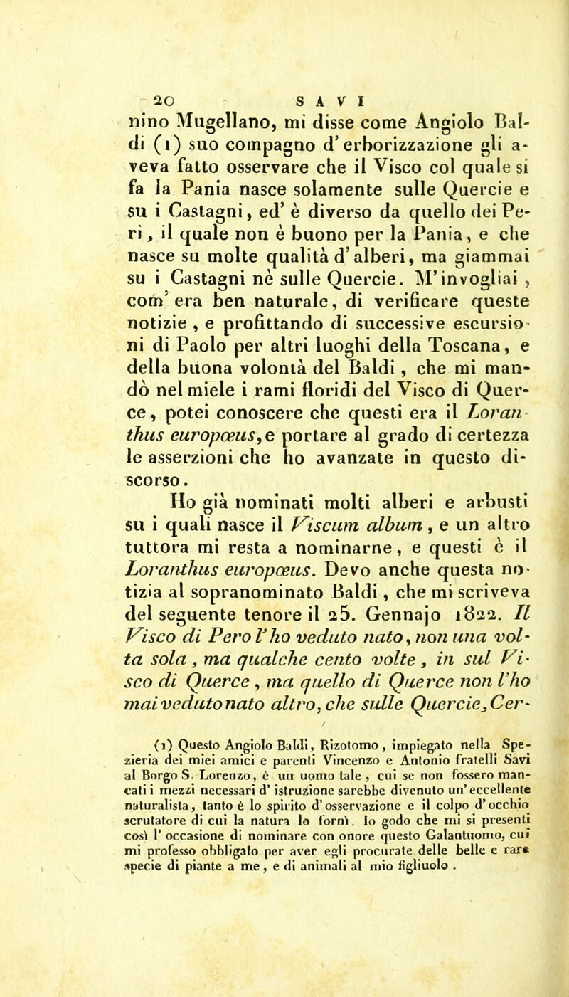 nino Magellano, mi disse come Angiolo Bal- di (i) suo compagno d'erborizzazione gli a- veva fatto osservare che il Visco col quale si fa la Pania nasce solamente sulle Quercie e su i Castagni, ed' è diverso da quello dei Pe- ri , il quale non è buono per la Pania, e che nasce su molte qualità d'alberi, ma giammai su i Castagni ne sulle Quercie. M'invogliai , com'era ben naturale, di verificare queste notizie , e profittando di successive escursio- ni di Paolo per altri luoghi della Toscana, e della buona volontà del Baldi , che mi man- dò nel miele i rami floridi del Visco di Quer- ce, potei conoscere che questi era il Loran ihus europceiis,e portare al grado di certezza le asserzioni che ho avanzate in questo di- scorso . Ho già nominati molti alberi e arbusti su ì quali nasce il J^iscum album, e un altro tuttora mi resta a nominarne, e questi è il Lovafithus eitvopoeiLS. Devo anche questa no- tizia al sopranominato Baldi, che mi scriveva del seguente tenore il ii5. Gennajo 1822. Il Ibisco di Pero l'ho veduto nato^ non una vol- ta sola , ma qualche cento volte , in sul Vi- sco di Querce , ma quello di Querce non Ilio maivedutonato altro, che sulle Quercie^Cer- (1) Questo Angiolo Baldi, Rizotomo , impiegato nella Spe- zieria dei miei amici e parenti Vincenzo e Antonio fratelli Savi al Borgo S. Lorenzo, è un uomo tale , cui se non fossero man- cati i mezzi necessari d'istruzione sarebbe divenuto un'eccellente naturalista, tanto è Io spirito d'osservazione e il colpo d'occhio scrutatore di cui la natura lo forni. Io godo che mi si presenti cosi r occasione di nominare con onore questo Galantuomo, cui mi professo obbligato per aver egli procurate delle belle e rar« specie di piante a me, e di animali al mio lìgliuolo .