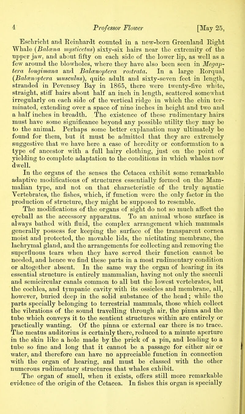 EscBriclit and Eeintardt counted in a new-born Greenland Eight Whale {Balcena mysticetus) sixty-six hairs near the extremity of the upper jaw. and about fifty on each side of the lower lip, as well as a few around the blowholes, where they have also been seen in Megap- tera longimana and Balcenoptera rostrata. In a large Rorqual (Balcenoptera musculus), quite adult and sixty-seven feet in length, stranded in Pevensey Bay in 1865, there were twenty-five white, straight, stiff hairs about half an inch in length, scattered somewhat irregularly on each side of the vertical ridge in which the chin ter- minated, extending over a space of nine inches in height and two and a half inches in breadth. The existence of these rudimentary hairs must have some significance beyond any possible utility they may be to the animal. Perhaps some better explanation may ultimately be found for them, but it must be admitted that they are extremely suggestive that we have here a case of heredity or conformation to a type of ancestor with a full hairy clothing, just on the point of yielding to complete adaptation to the conditions in which whales now dwell. In the organs of the senses the Cetacea exhibit some remarkable adaptive modifications of structures essentially formed on the Mam- malian type, and not on that characteristic of the truly aquatic Vertebrates, the fishes, which, if function were the only factor in the production of structure, they might be supposed to resemble. The modifications of the organs of sight do not so much affect the eyeball as the accessory apparatus. To an animal whose surface is always bathed with fluid, the complex arrangement which mammals generally possess for keeping the surface of the trans2)arent cornea moist and protected, the movable lids, the nictitating membrane, the lachrymal gland, and the arrangements for collecting and removing the superfluous tears when they have served their function cannot be needed, and hence we find these parts in a most rudimentary condition or altogether absent. In the same way the organ of hearing in its essential structure is entirely mammalian, having not only the sacculi and semicircular canals common to all but the lowest vertebrates, but the cochlea, and tympanic cavity with its ossicles and membrane, all, however, buried deep in the solid substance of the head; while the parts specially belonging to terrestrial mammals, those which collect the vibrations of the sound travelling through air, the pinna and the tube which conveys it to the sentient structures within are entirely or practically wanting. Of the pinna or external ear there is no trace. Tlie meatus auditorius is certainly there, reduced to a minute aperture in the skin like a hole made by the prick of a pin, and leading to a tube so fine and long that it cannot be a passage for either air or water, and therefore can have no appreciable fimction in connection with the organ of hearing, and must be classed with the other numerous rudimentary structures that whales exhibit. The organ of smell, when it exists, offers still more remarkable evidence of the origin of the Cetacea. In fishes this organ is specially
